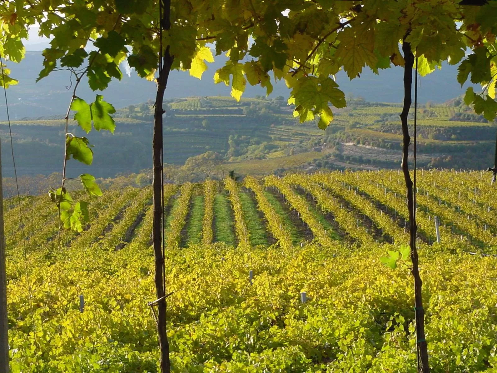 B&B Camignone Franciacorta