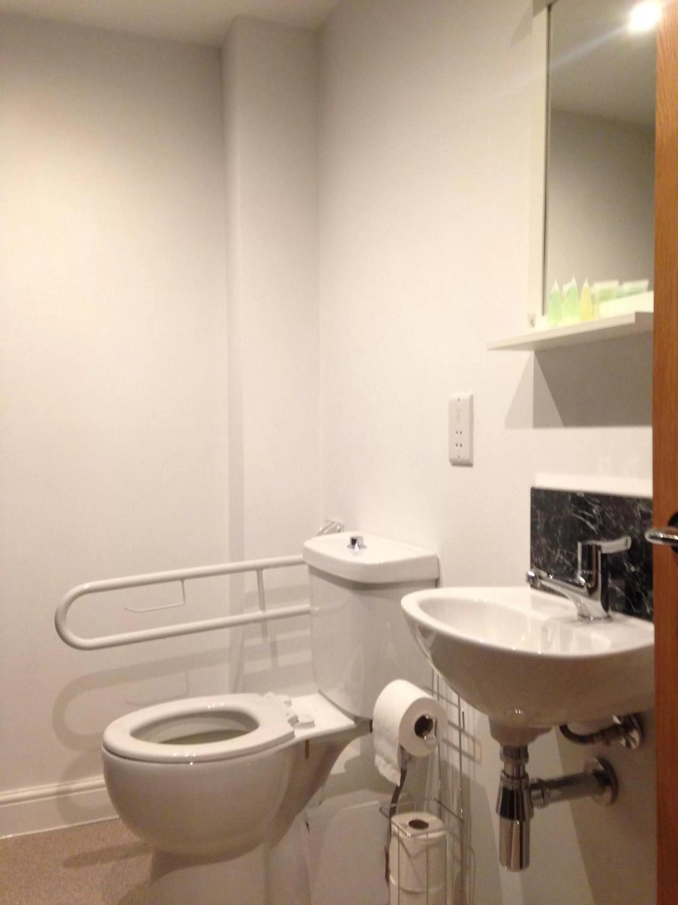 Toilet in The Wheatsheaf