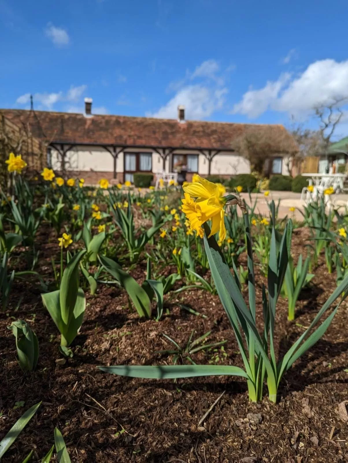 Garden in Kingfisher Barn