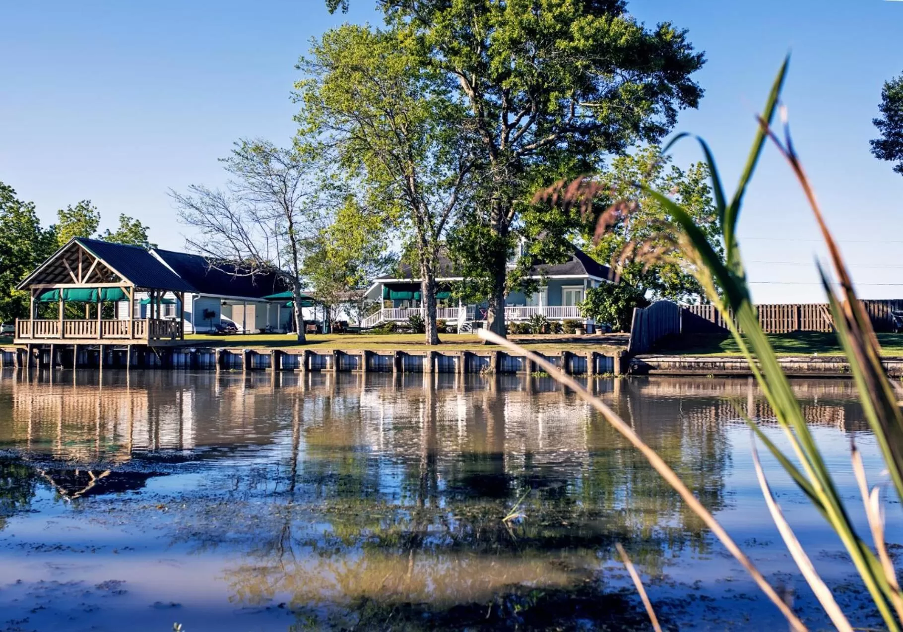 Garden, Swimming Pool in A Chateau on the Bayou Bed & Breakfast