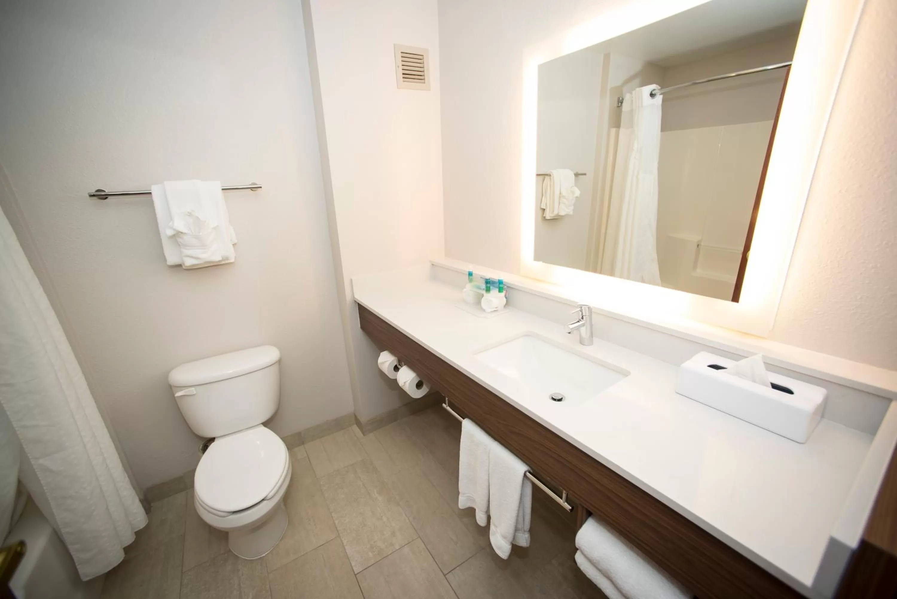 Bathroom in Holiday Inn Express Hotel & Suites Lexington-Downtown University by IHG