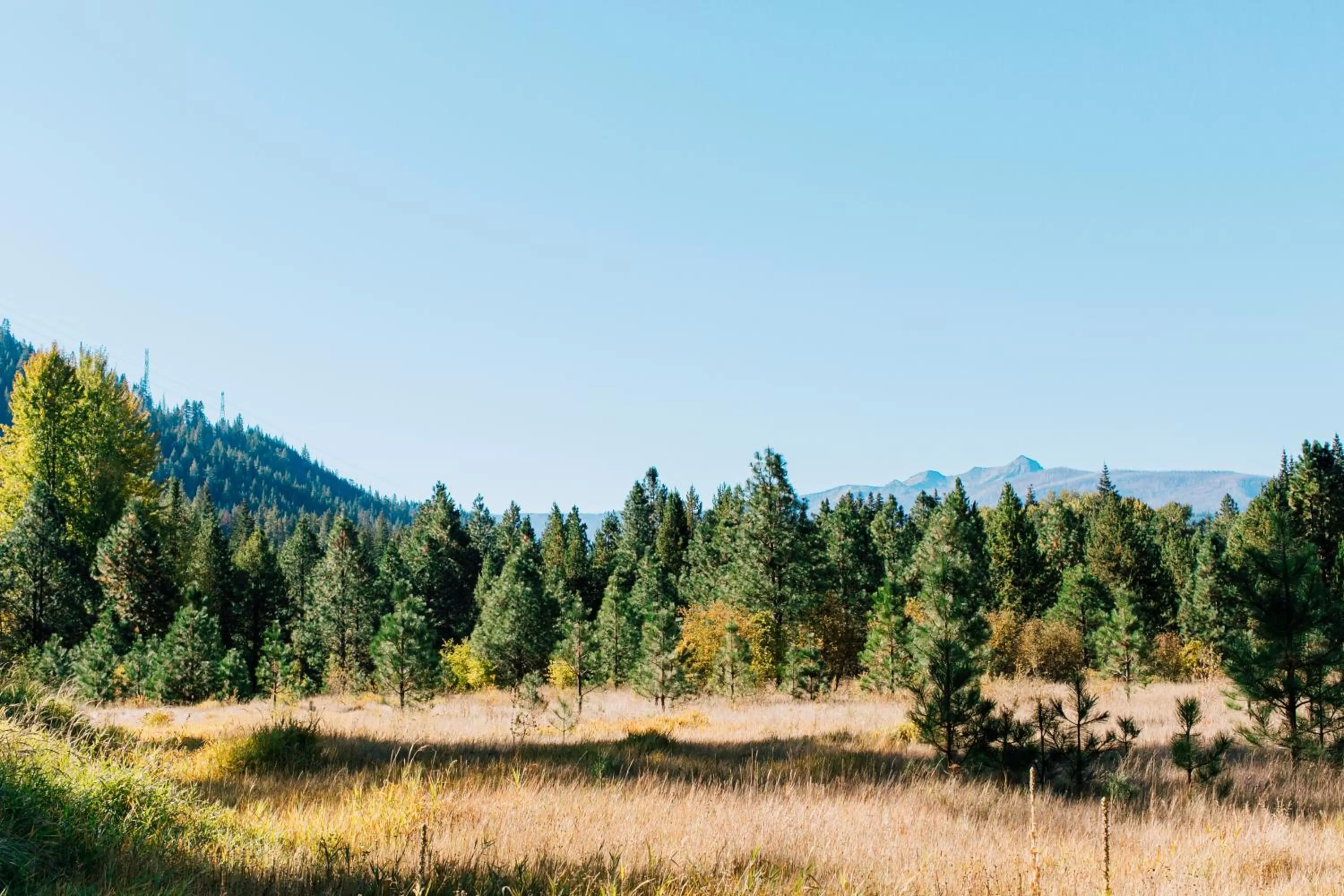 Landmark view in Pine River Ranch B&B
