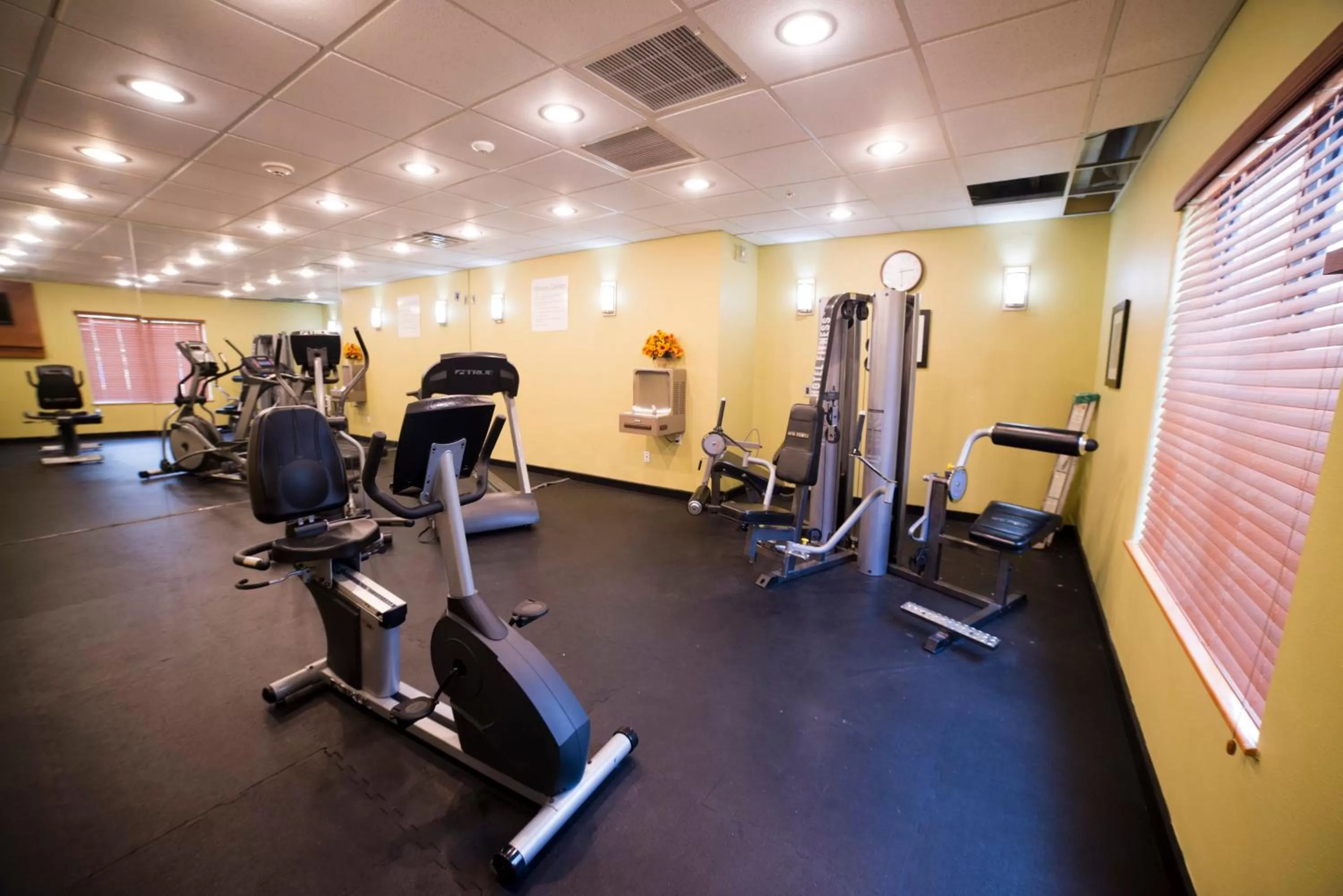 Fitness centre/facilities in Holiday Inn Express Hotel & Suites Atlanta East - Lithonia by IHG