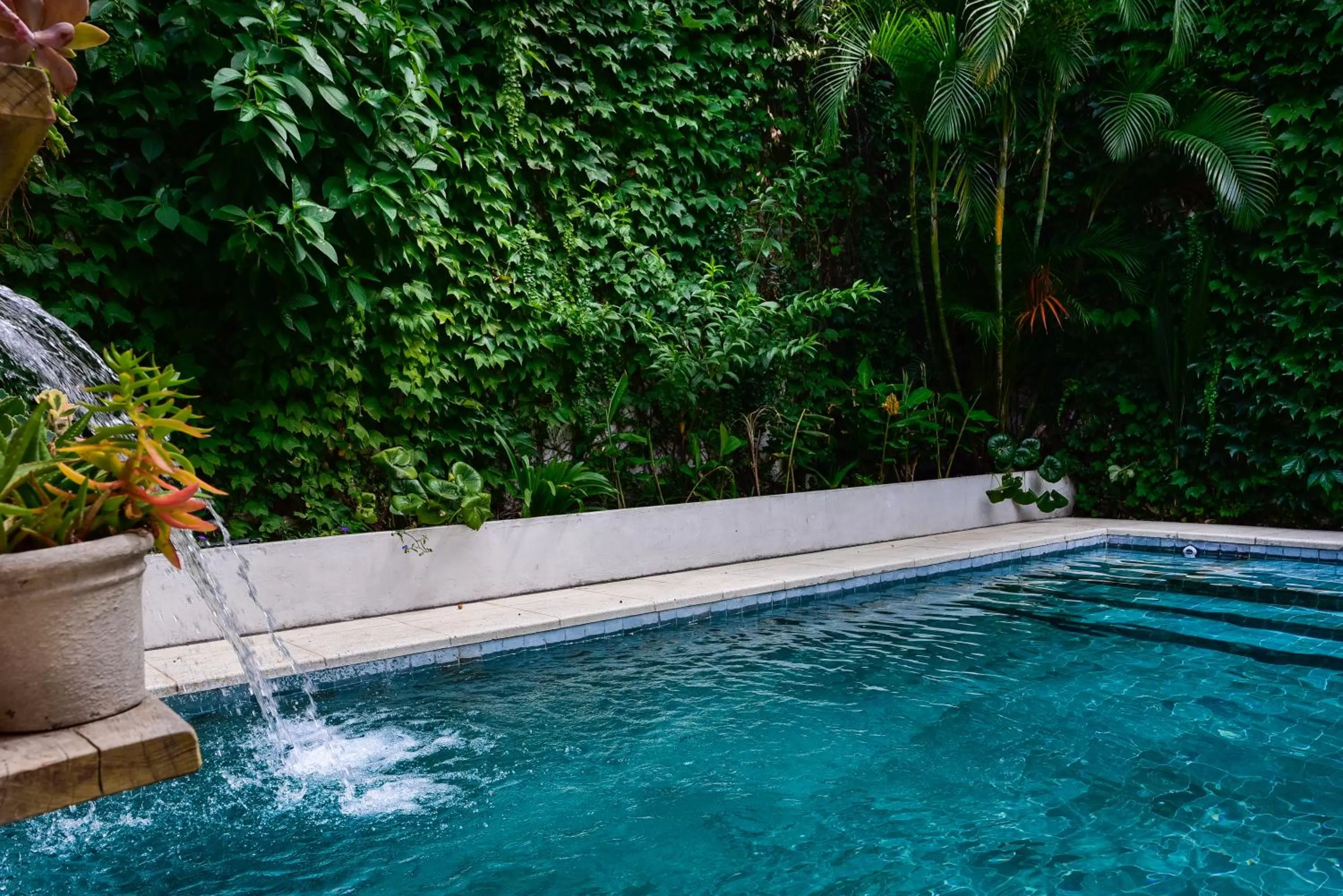 Garden, Swimming Pool in Casa Caravan - Plant Based Concept House