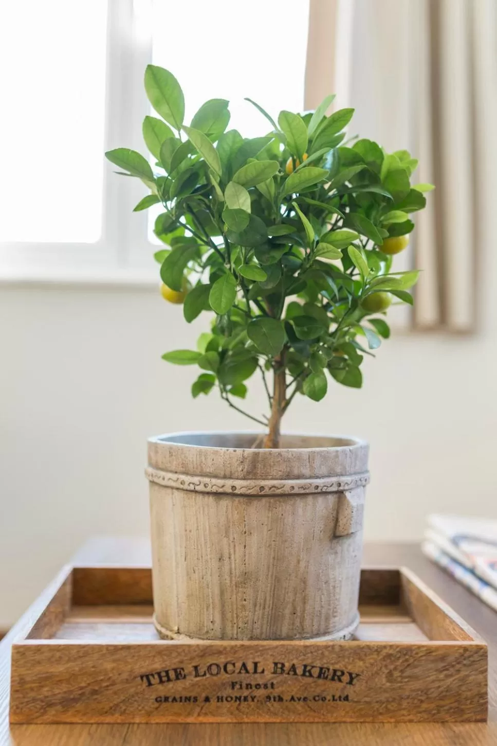 Decorative detail in The Athens Version Luxury Suites