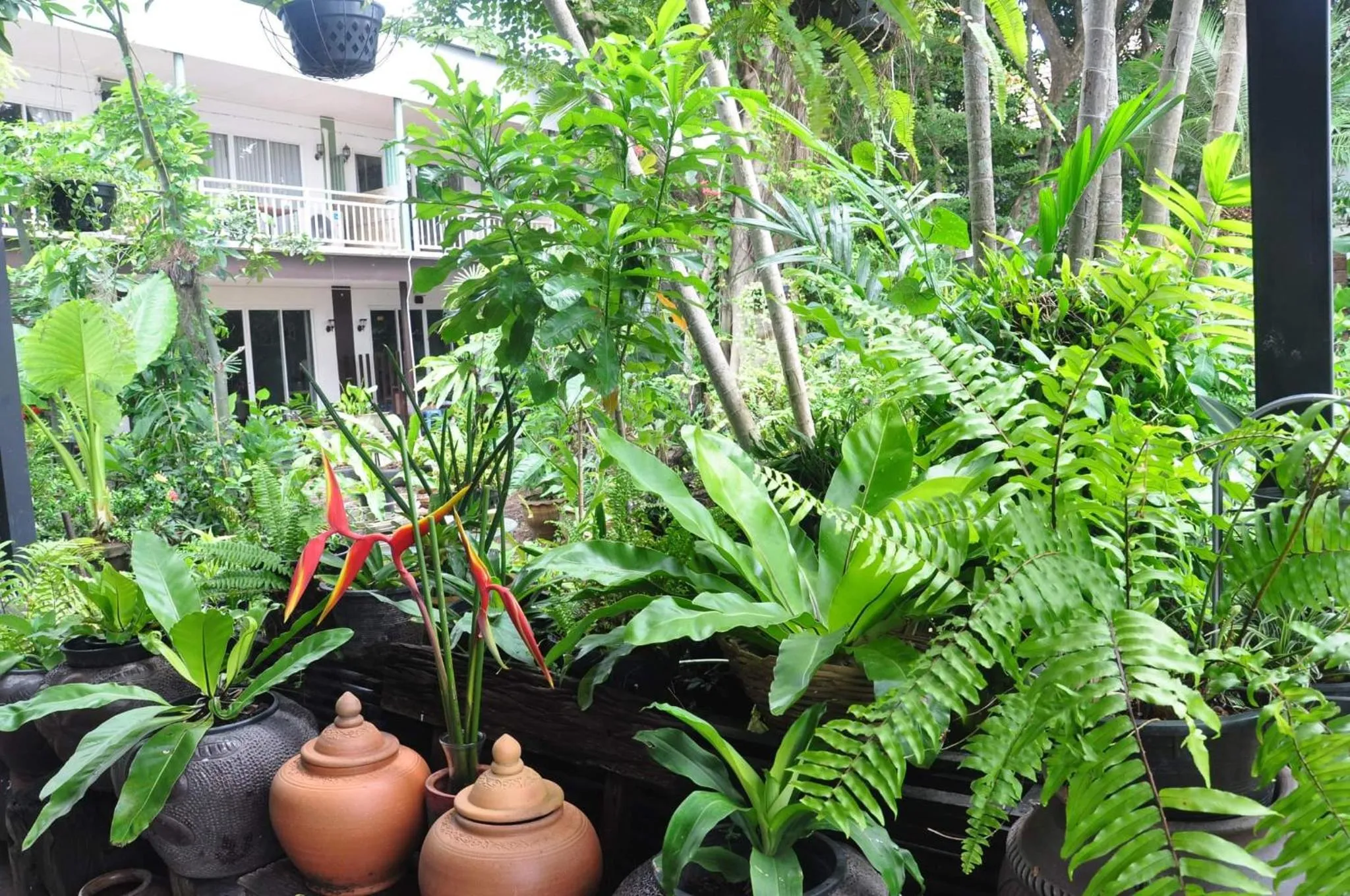 Garden in Eat n Sleep