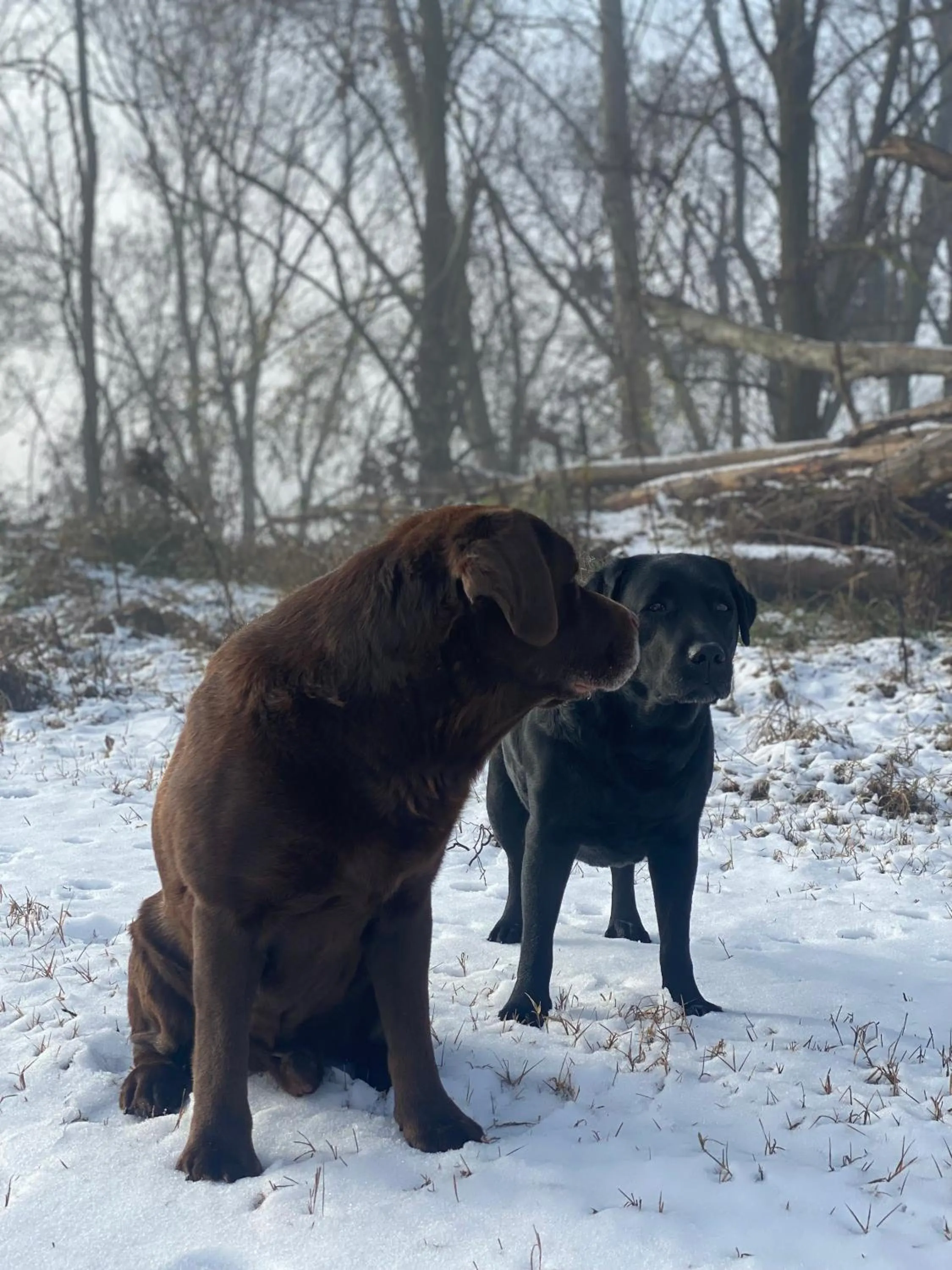 Hotel Cinzia Ristorante Christian e Manuel