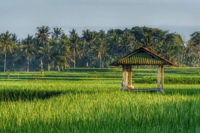 View (from property/room) in Bali Harmony Villa