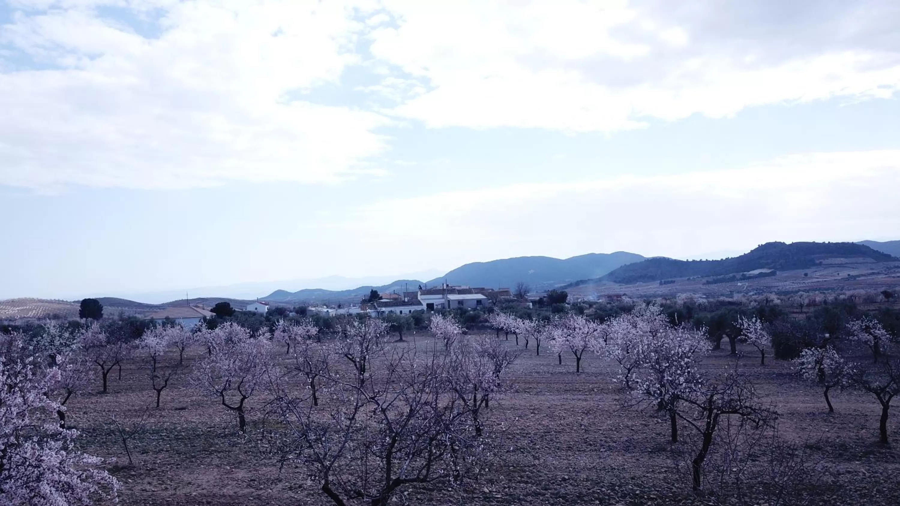 View (from property/room) in B&B Casa Blanca Oria