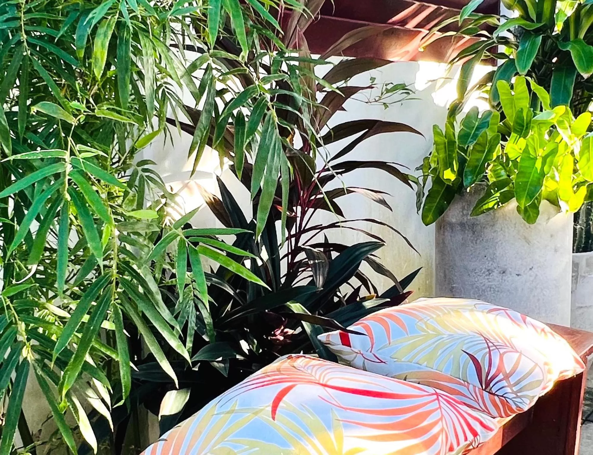 Day in Villa Famiri Boutique hotel