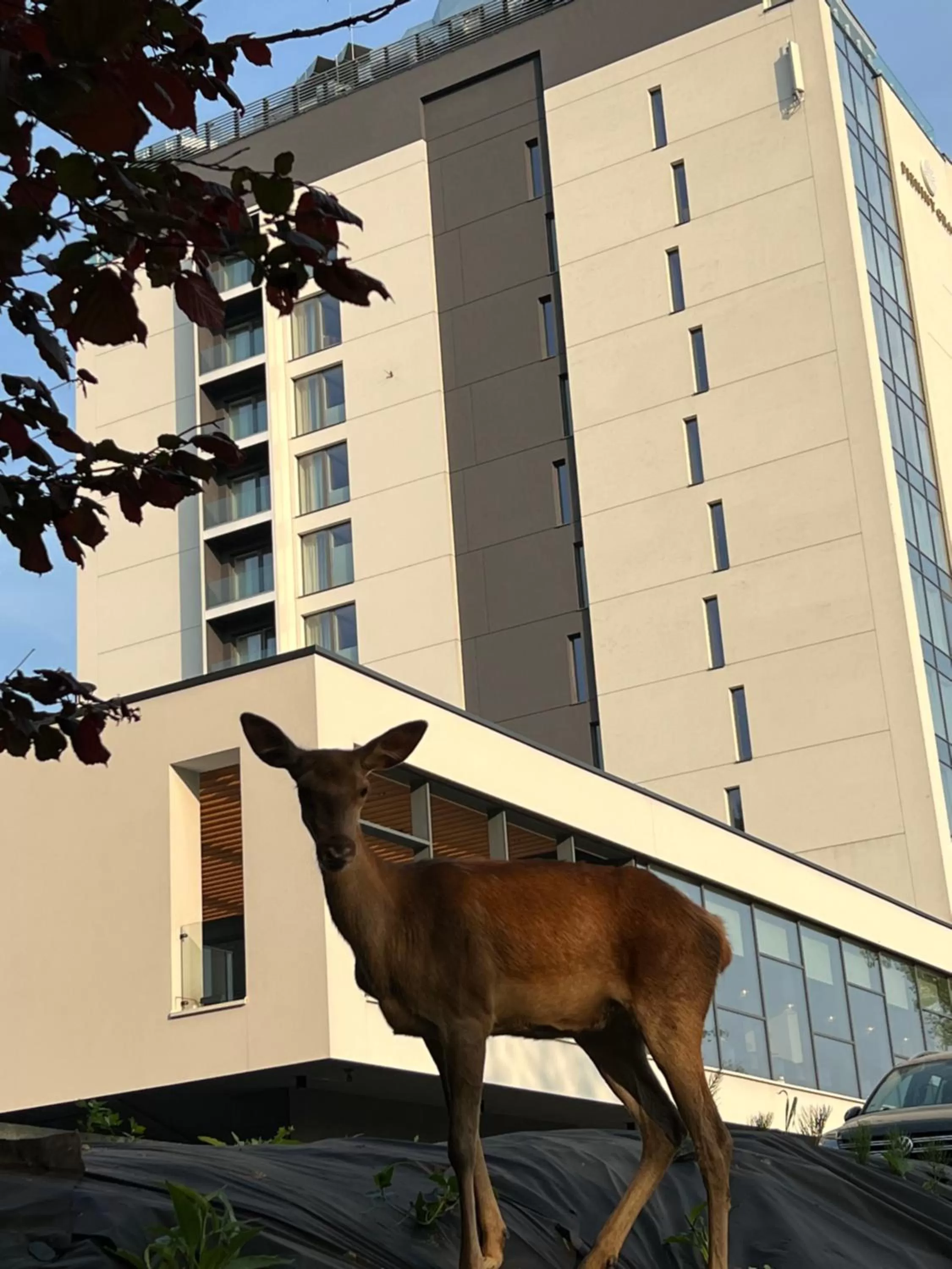 Property building in Hotel Pieniny Grand Wellness & SPA - Destigo Hotels