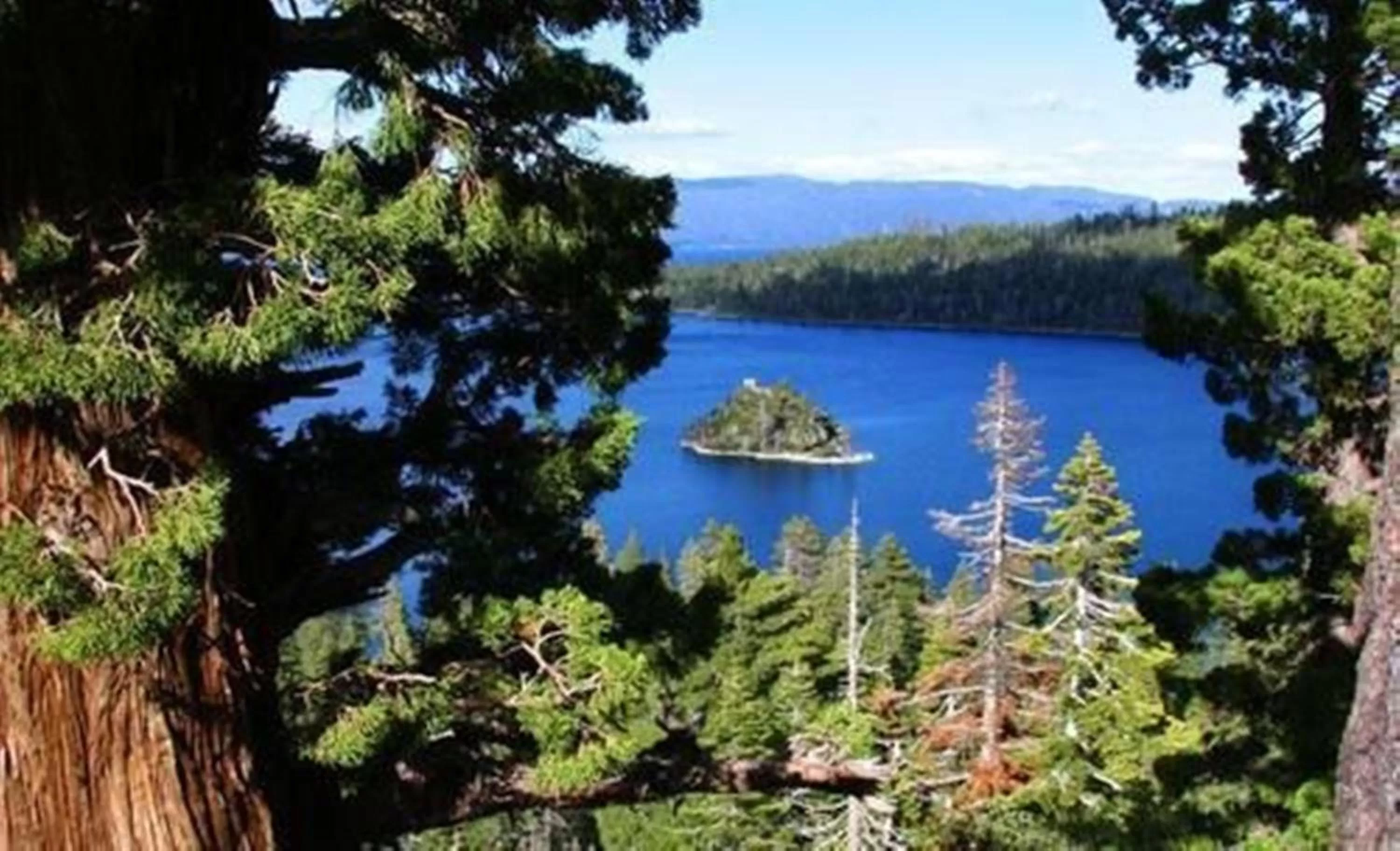 Natural landscape in Lodge at Kingsbury Crossing