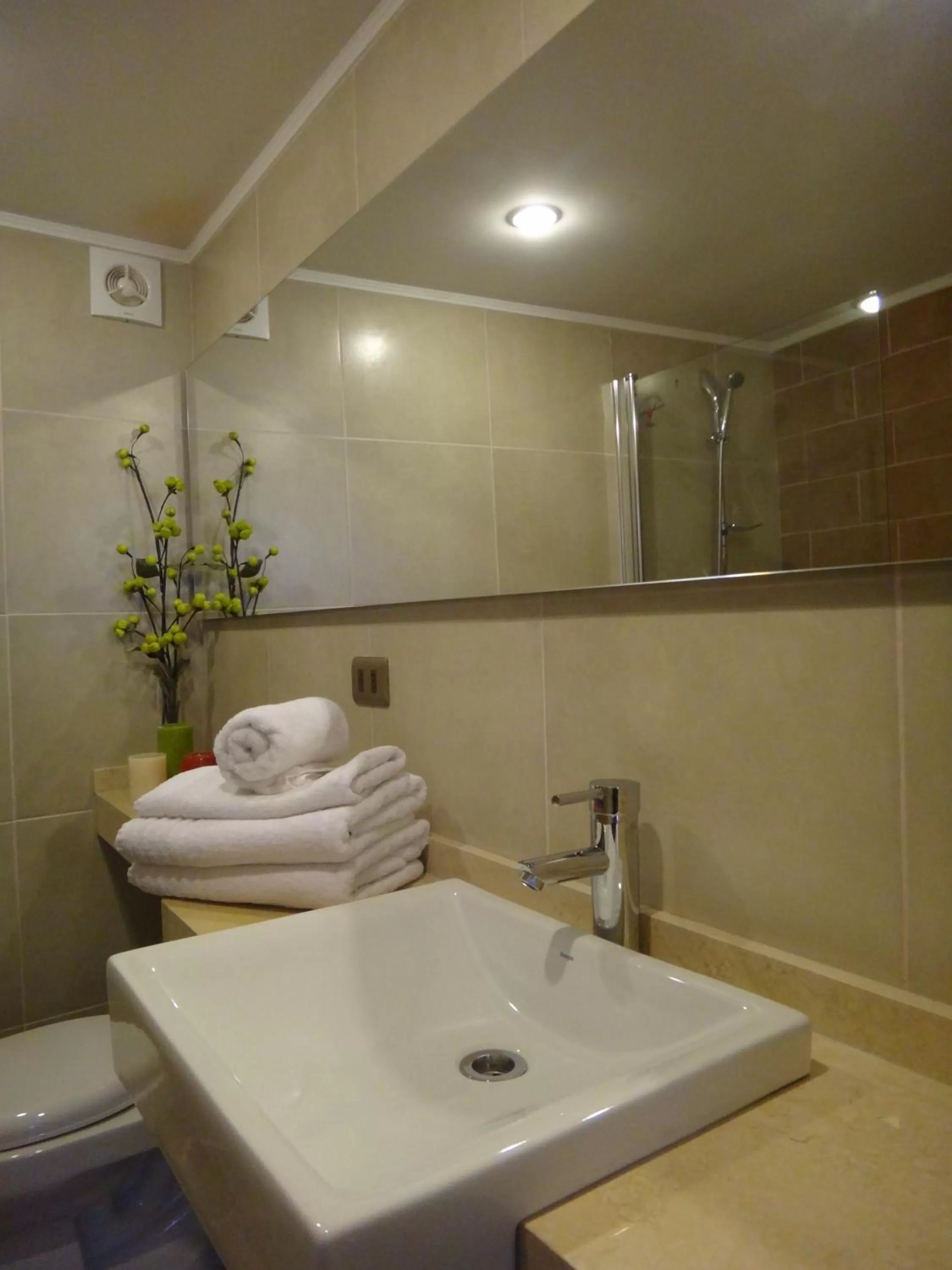 Bathroom in Hotel Libertador