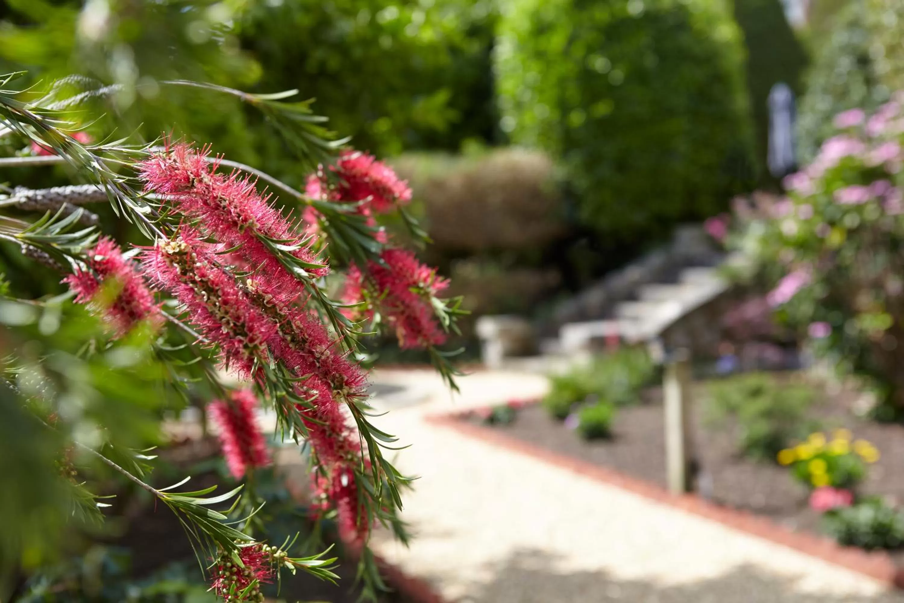 Garden in Luccombe Hall Hotel
