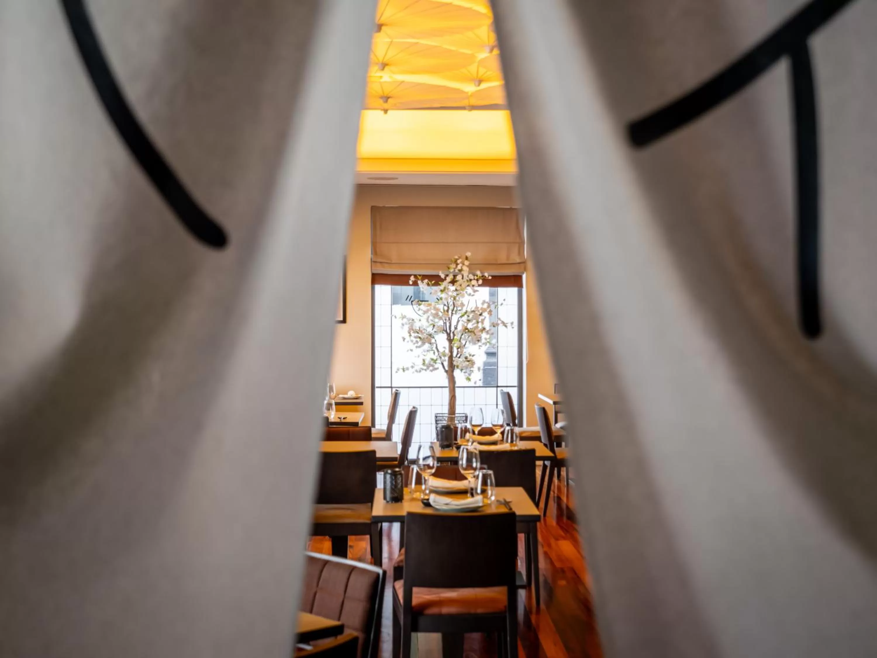 Restaurant/places to eat in Hotel Do Colegio