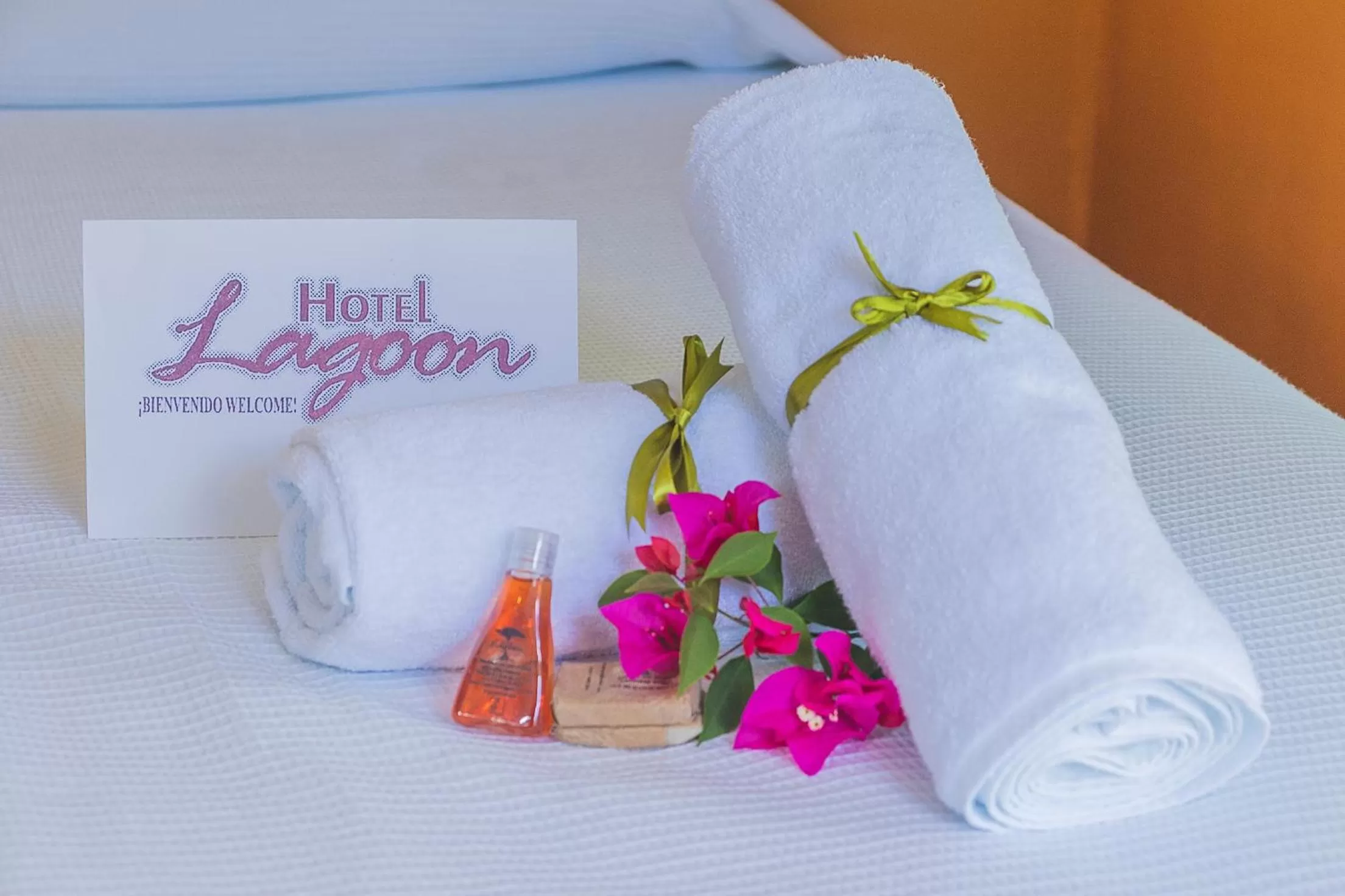 Decorative detail, Bed in Hotel Lagoon - Pet Friendly