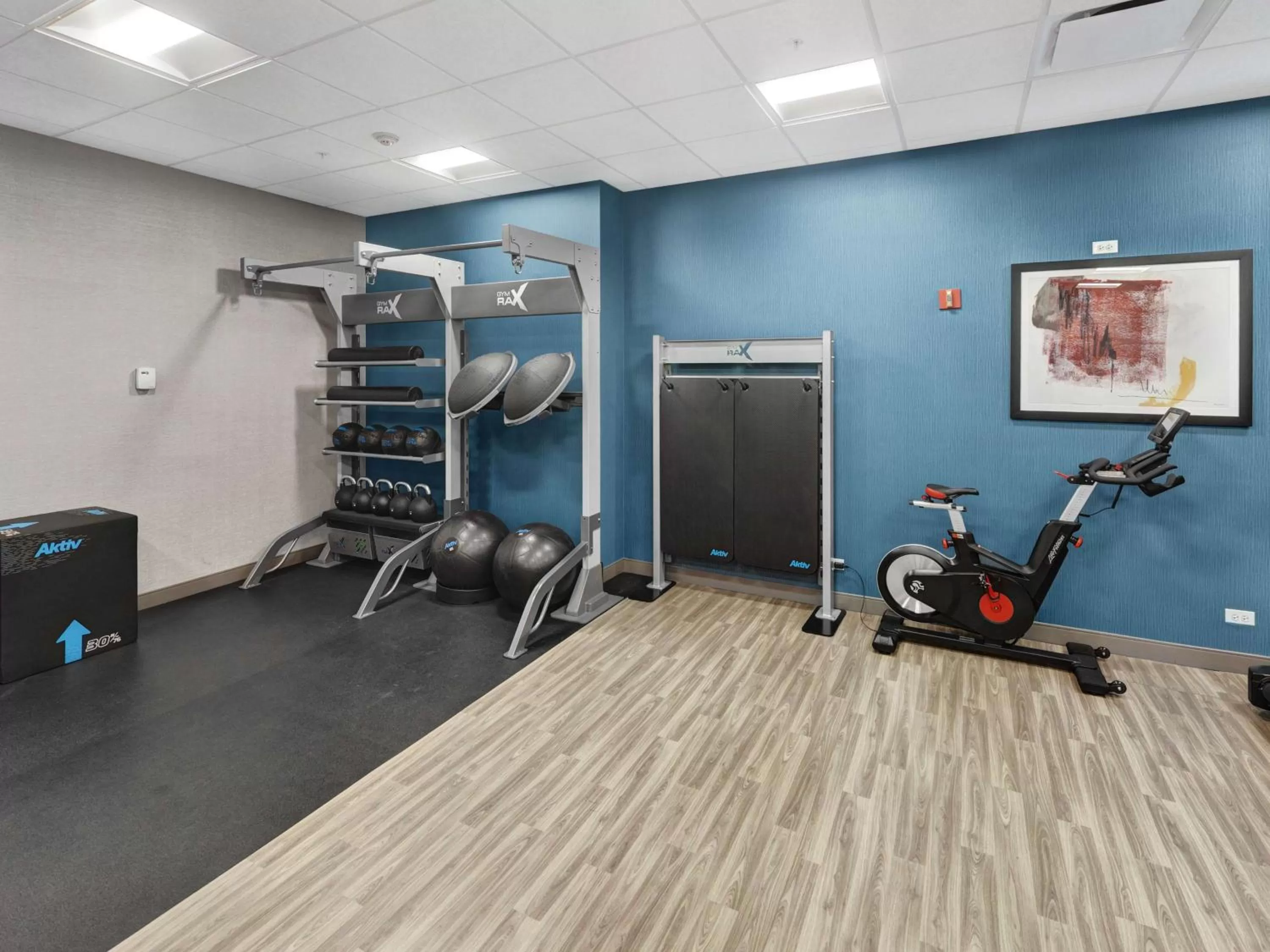 Fitness centre/facilities in Hampton Inn & Suites Chicago-Downtown