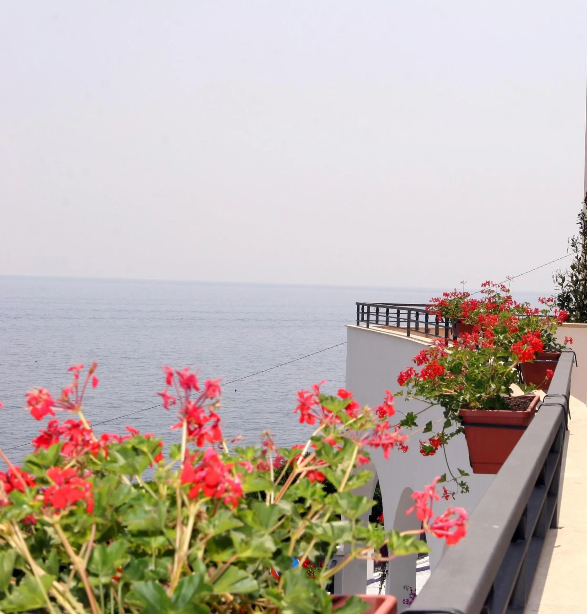 View (from property/room) in Punta Campanella Resort & Spa