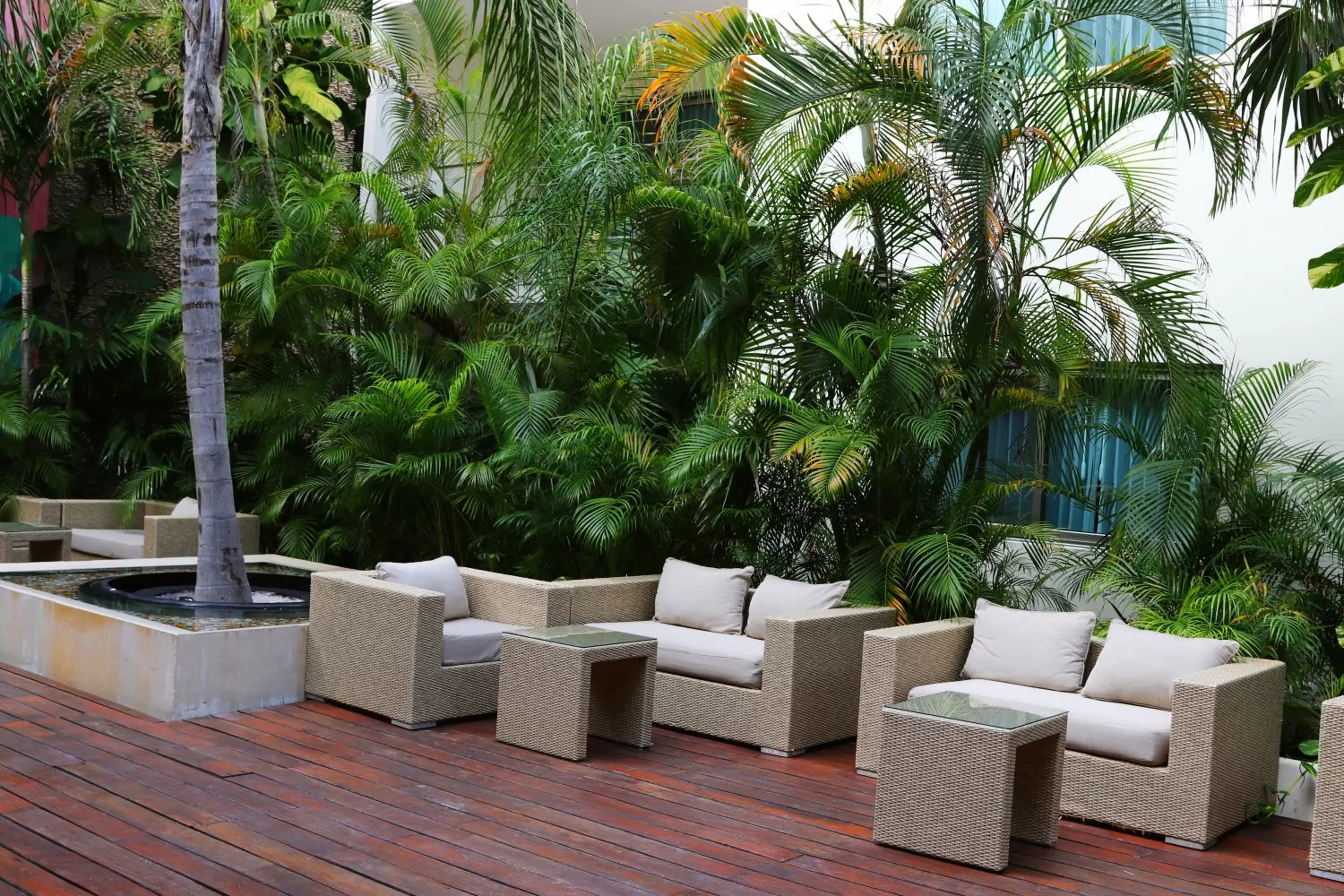 Garden in Hotel The Palm