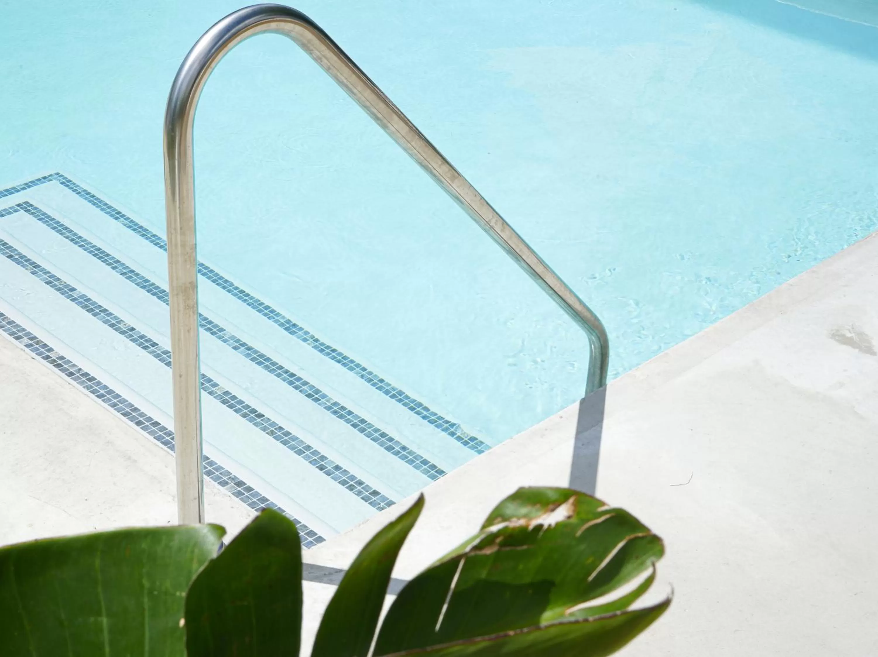 Swimming pool in The Lakeside Prince Edward County