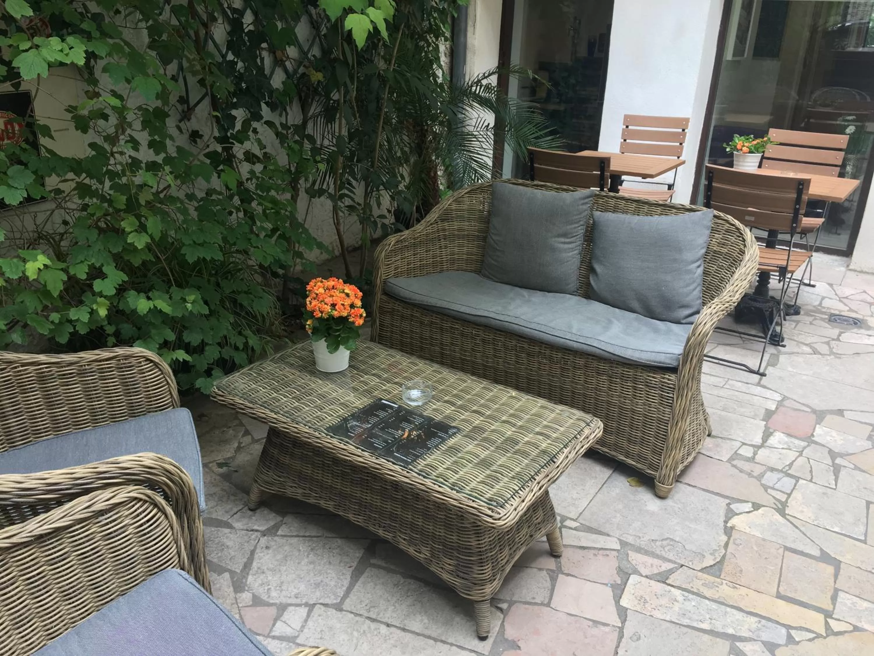 Garden in Hôtel Central