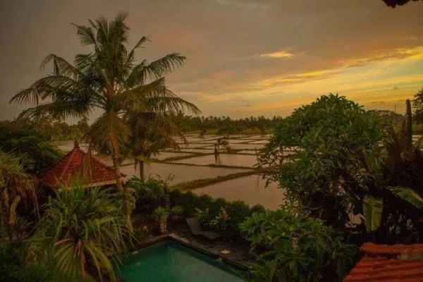 View (from property/room) in White House