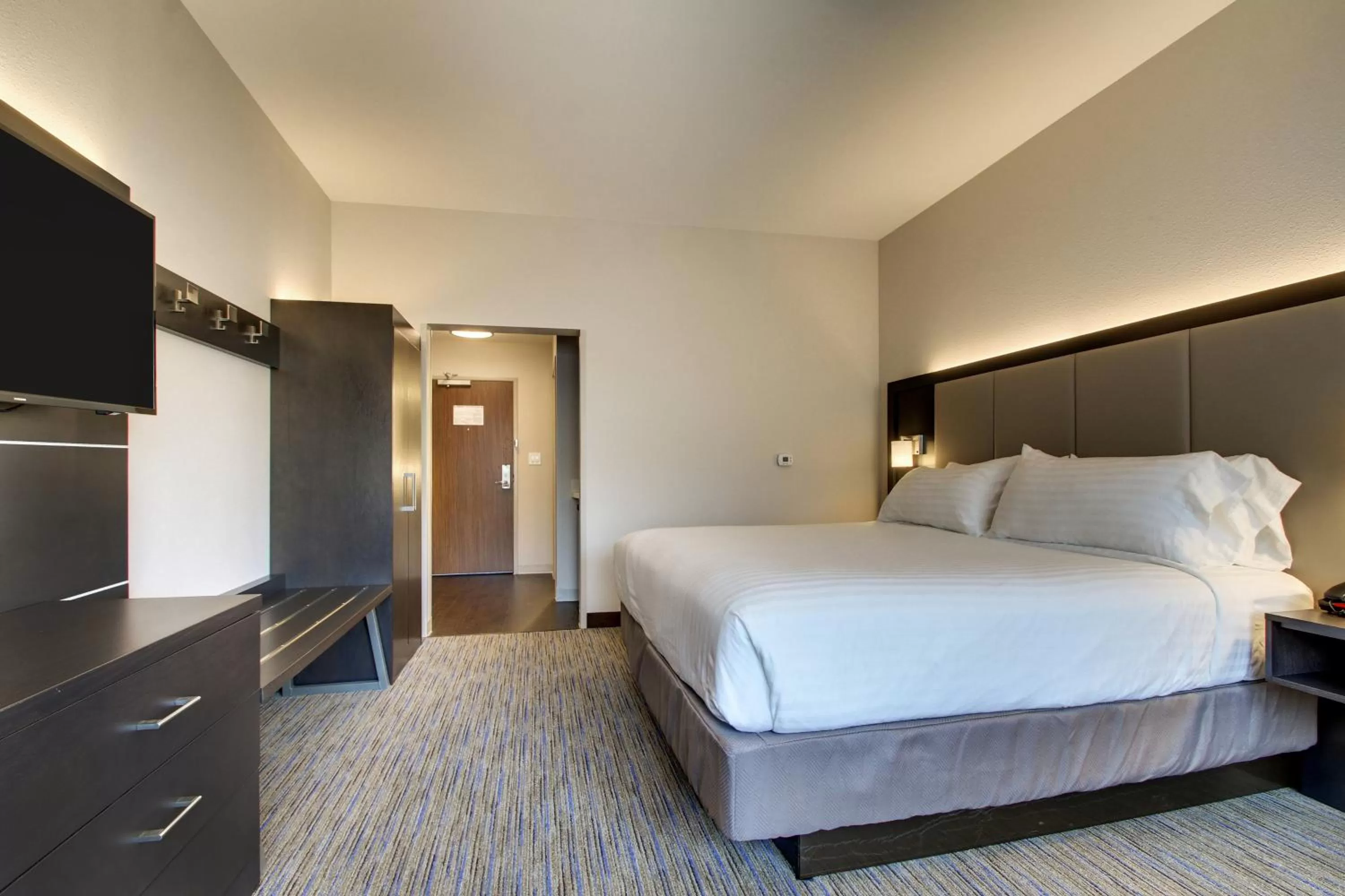 Photo of the whole room, Bed in Holiday Inn Express & Suites - Summerville by IHG