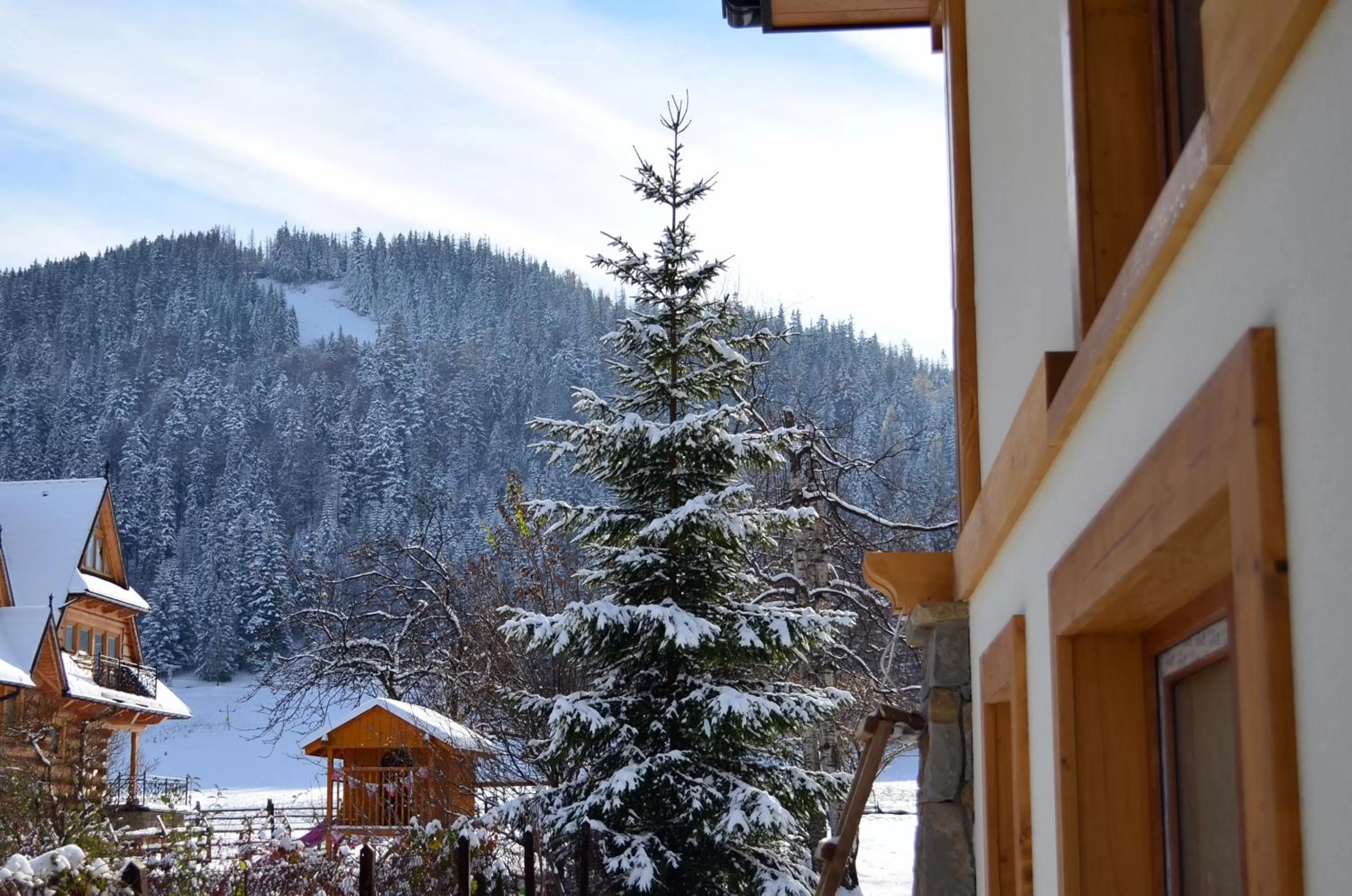 Property building in VILLA NOSAL - Zakopane