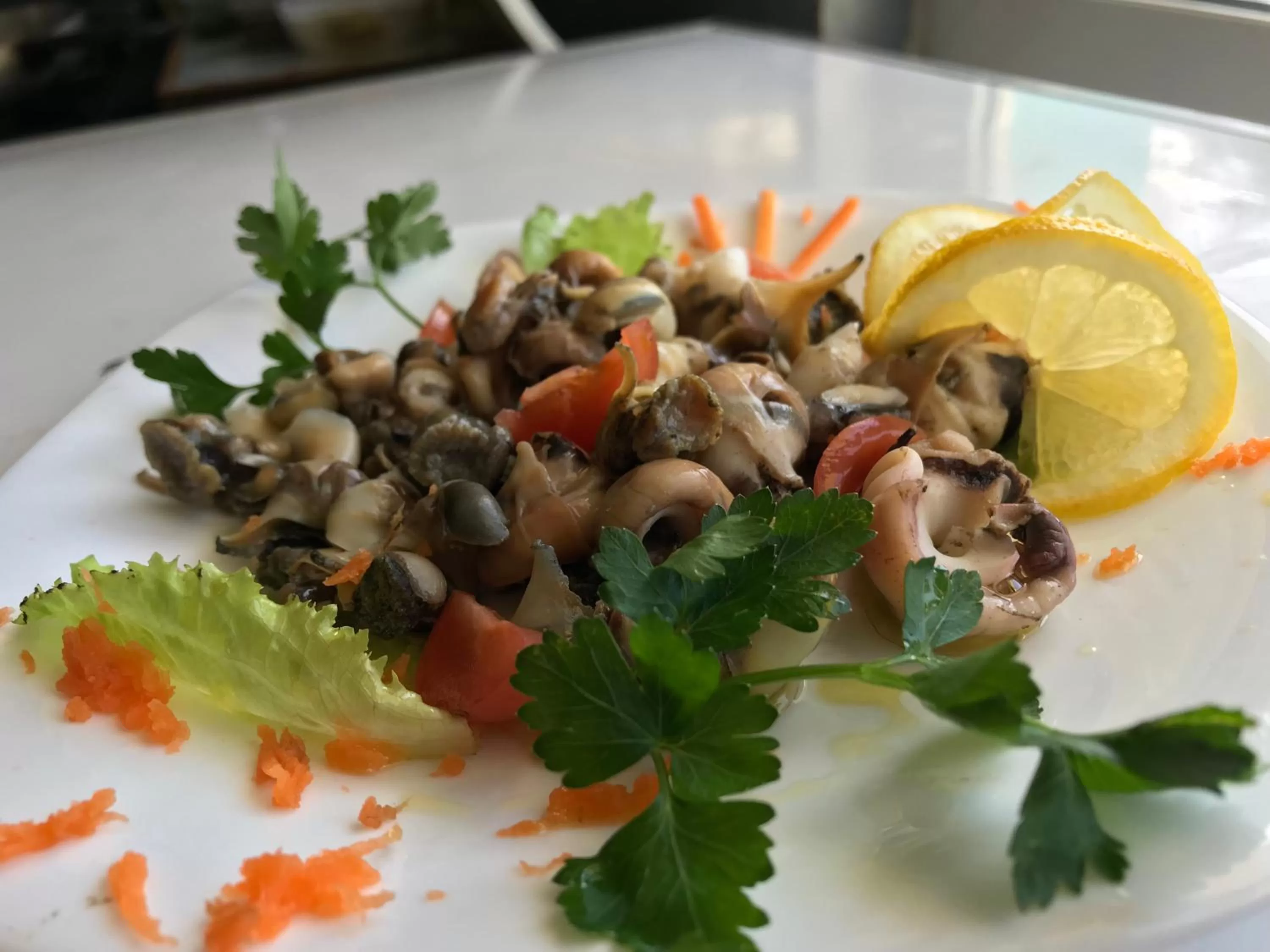 Food and drinks in Hotel Alba-Gert