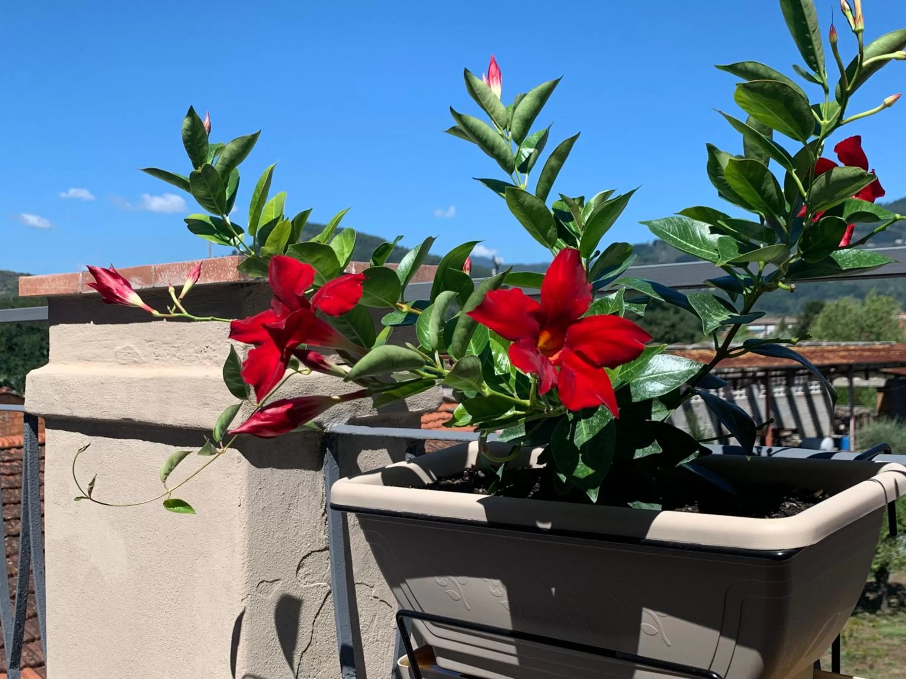 Balcony/Terrace in Piccola Dimora B&B