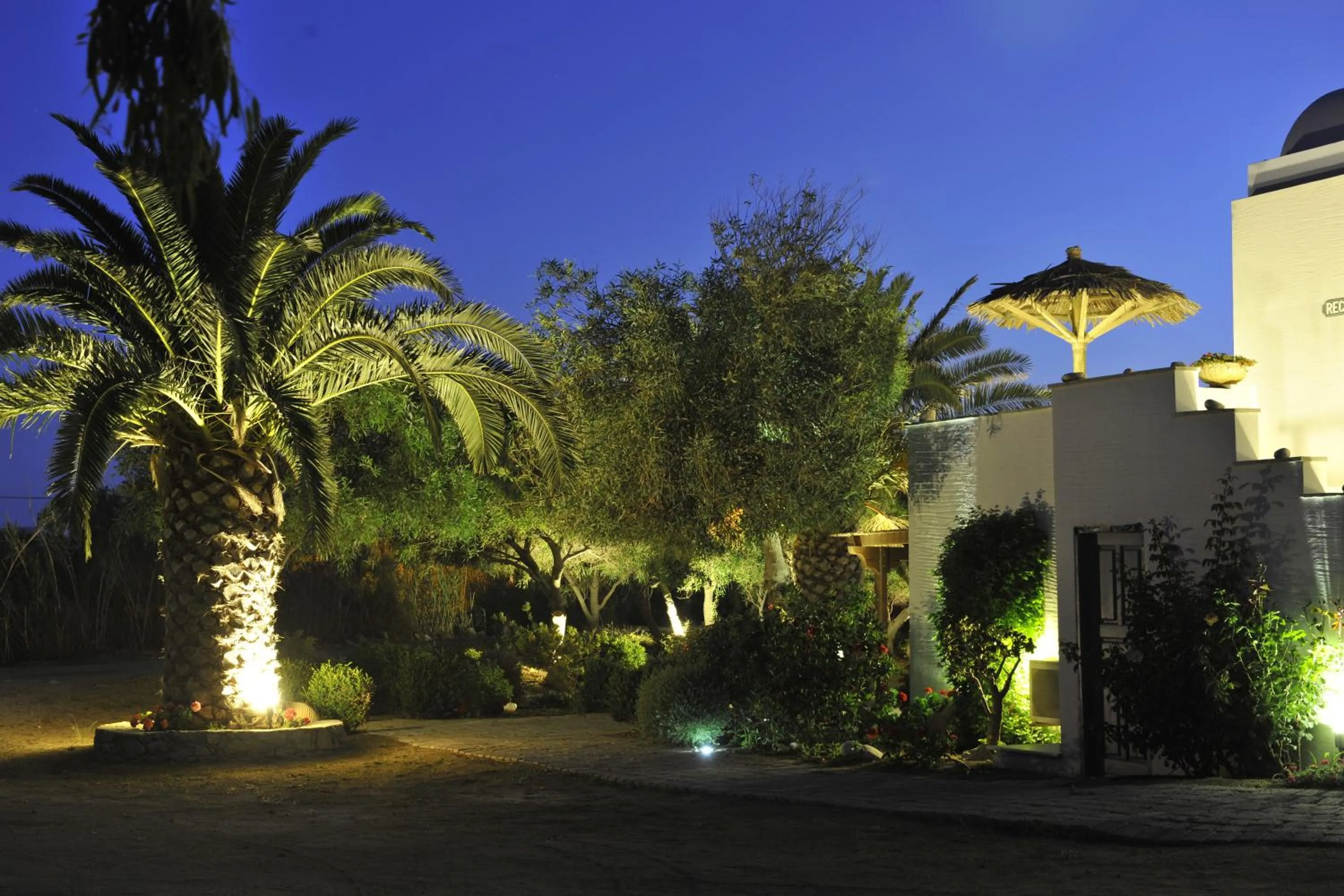 Garden in Ammos Naxos Exclusive Apartments & Studios