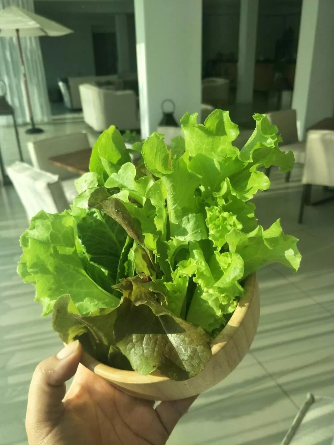 The White Garden Premier Saraburi