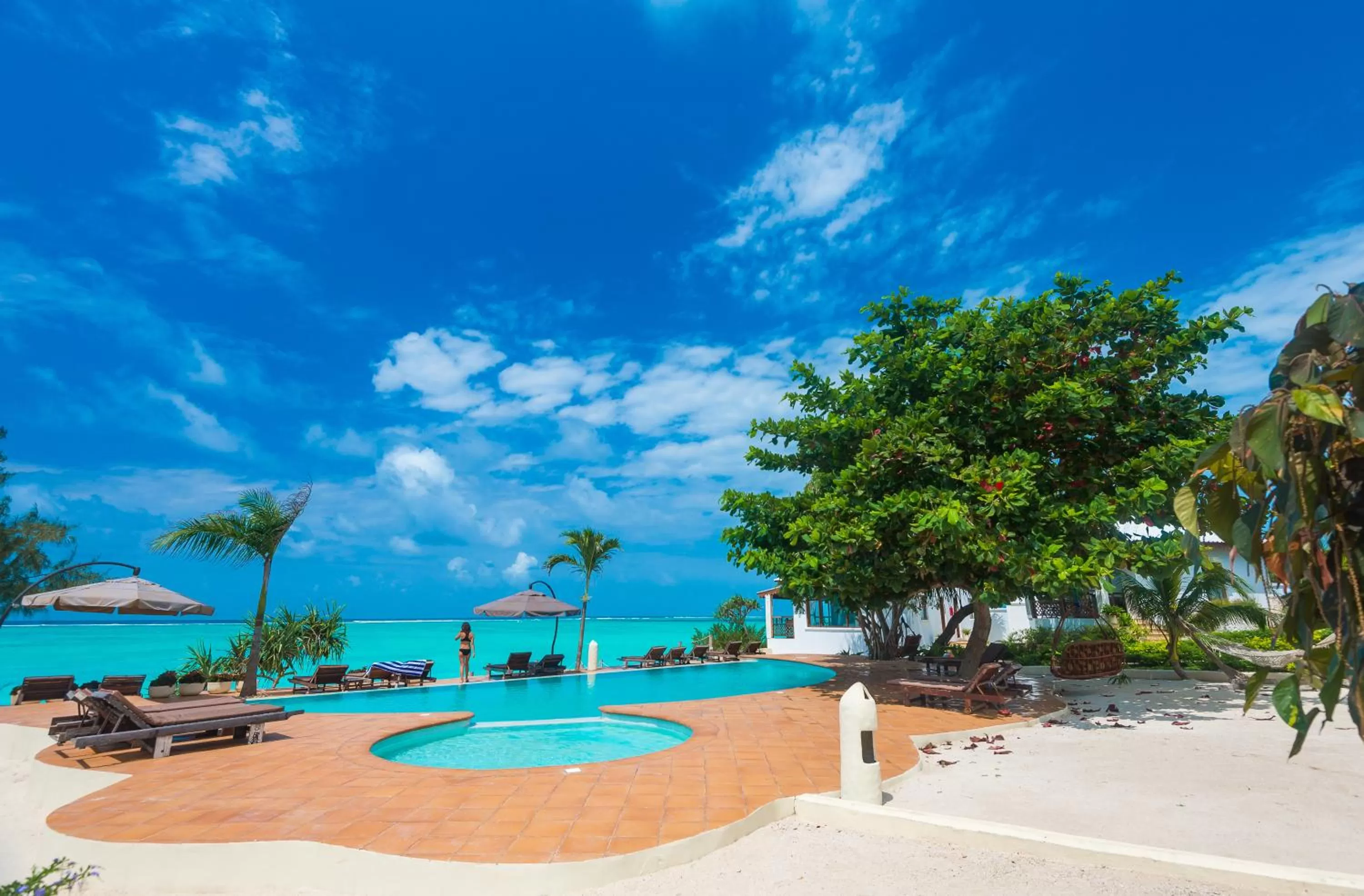 Beach in Warere Beach