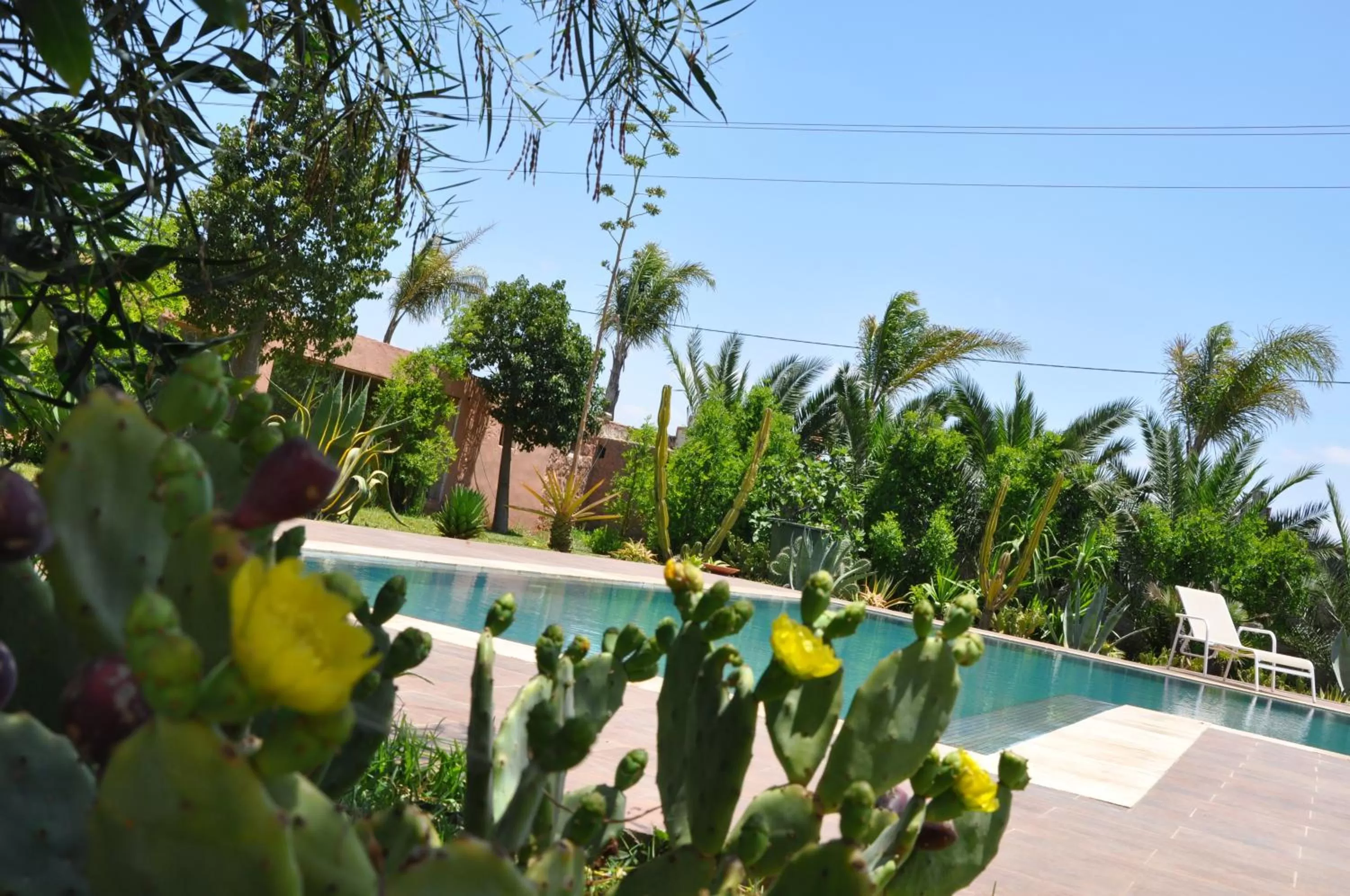 Swimming pool in Riad Hamdani