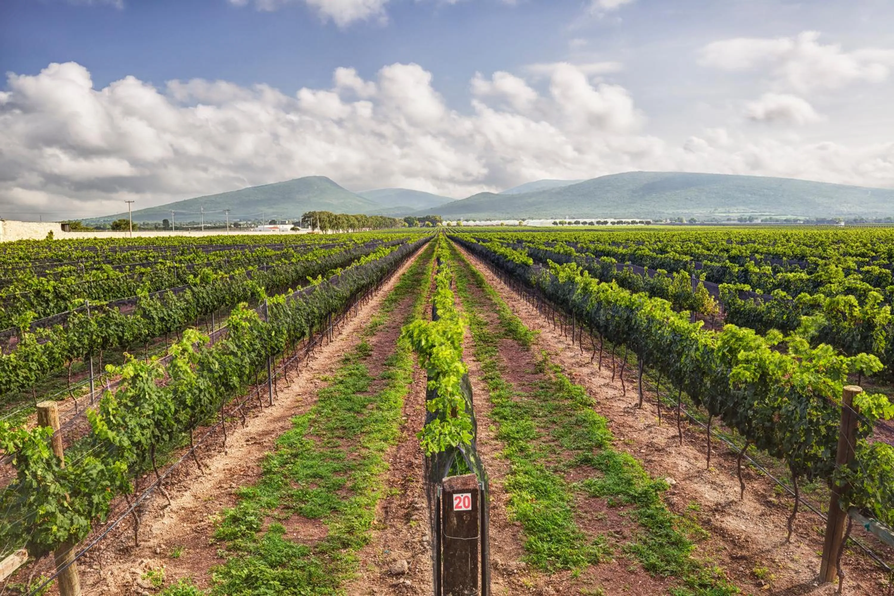 Natural landscape in Hotel Rio Tequisquiapan