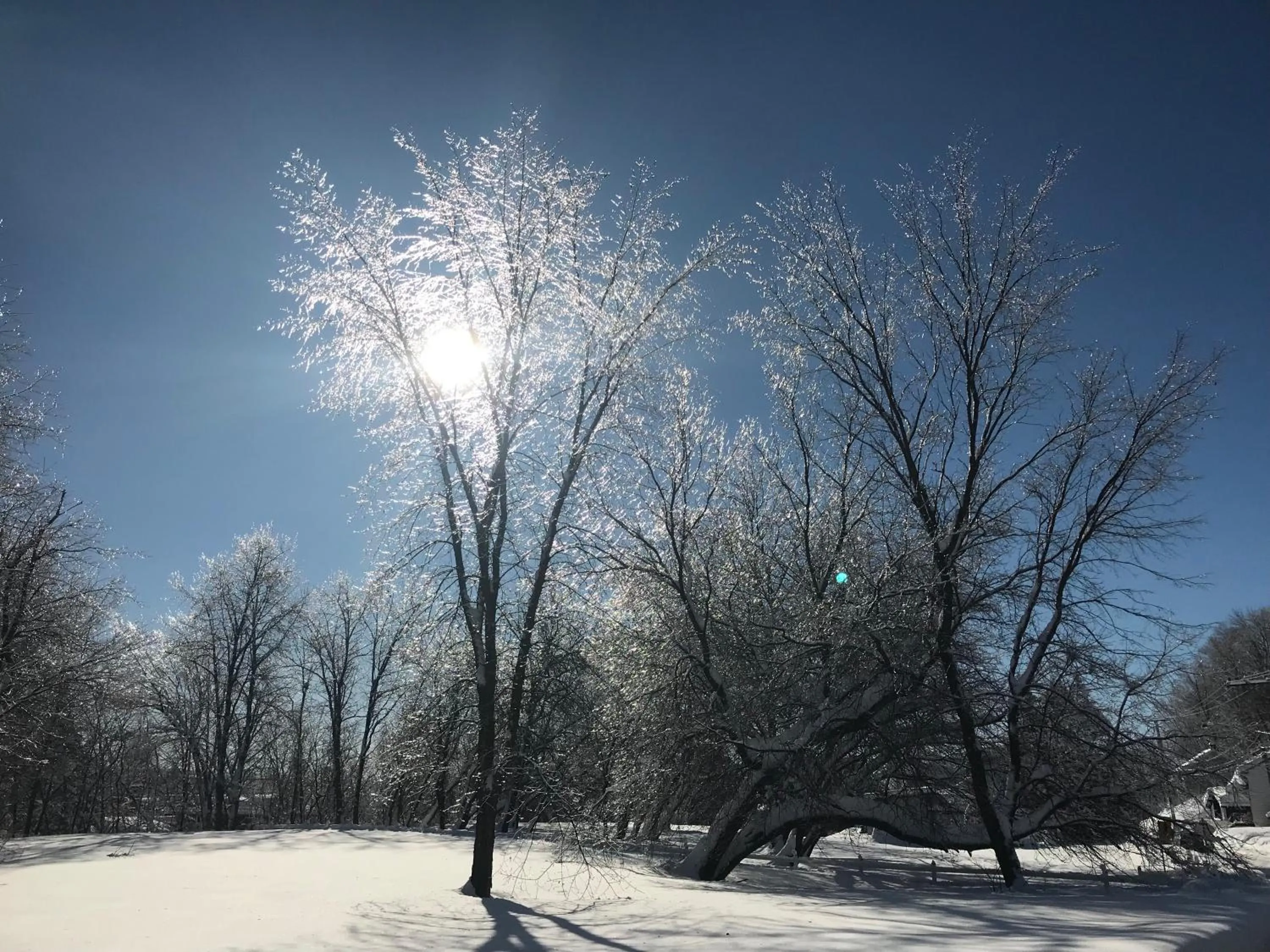 Natural landscape in Auberge du Sault-à-la-Puce