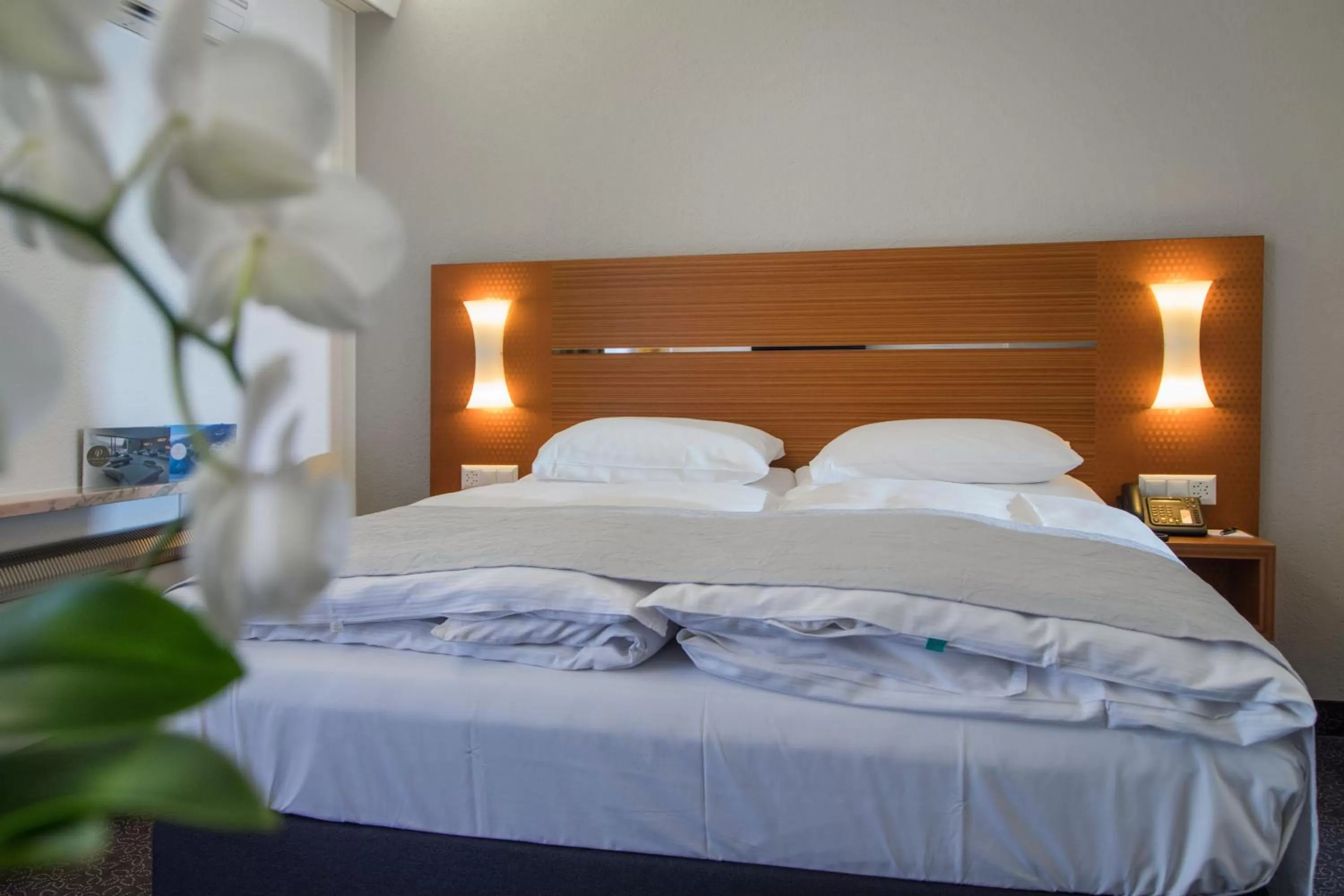 Classic Single Room with Mountain View in Hotel la Palma au Lac