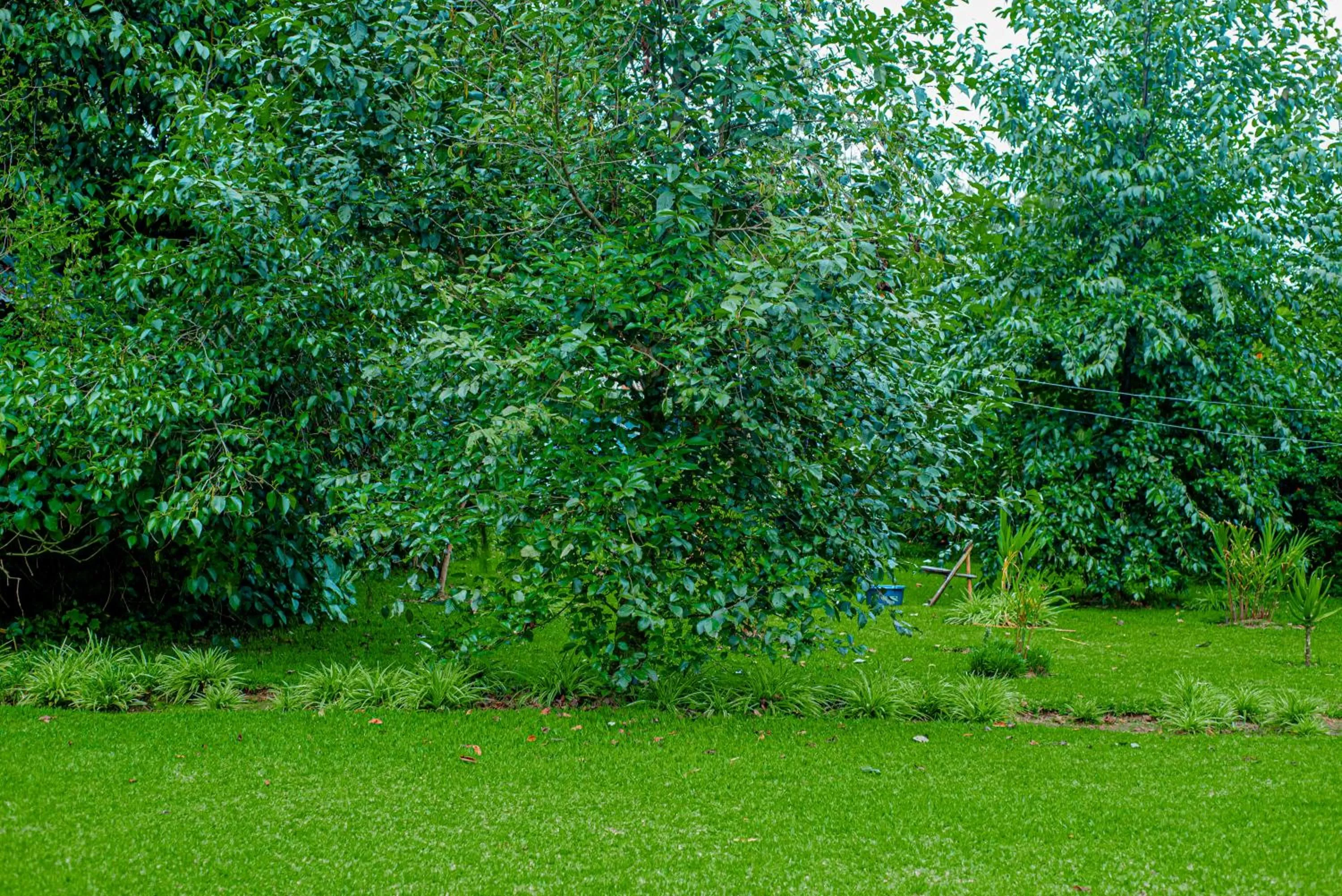 Day, Garden in Fravan Eco Resort By Apogee