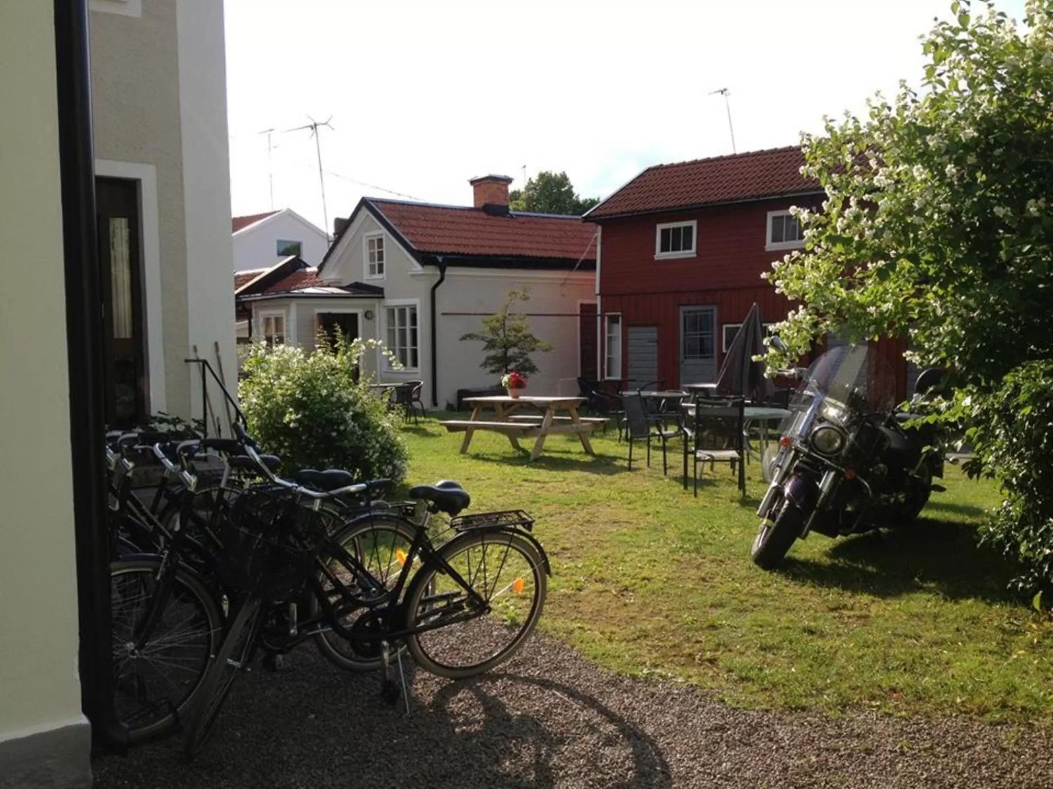 Garden in Hotell Park