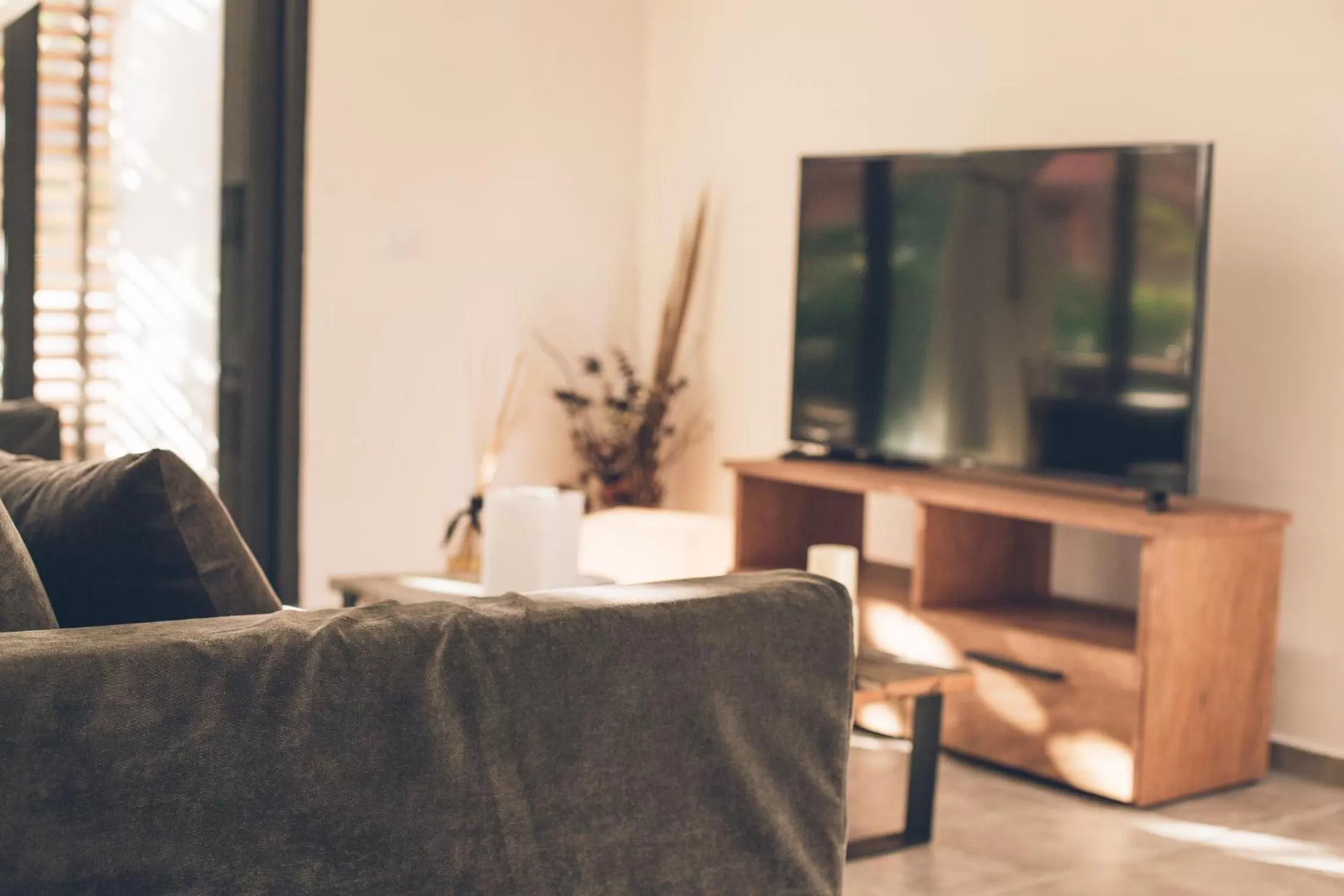 TV and multimedia in Panacea Condo Tulum