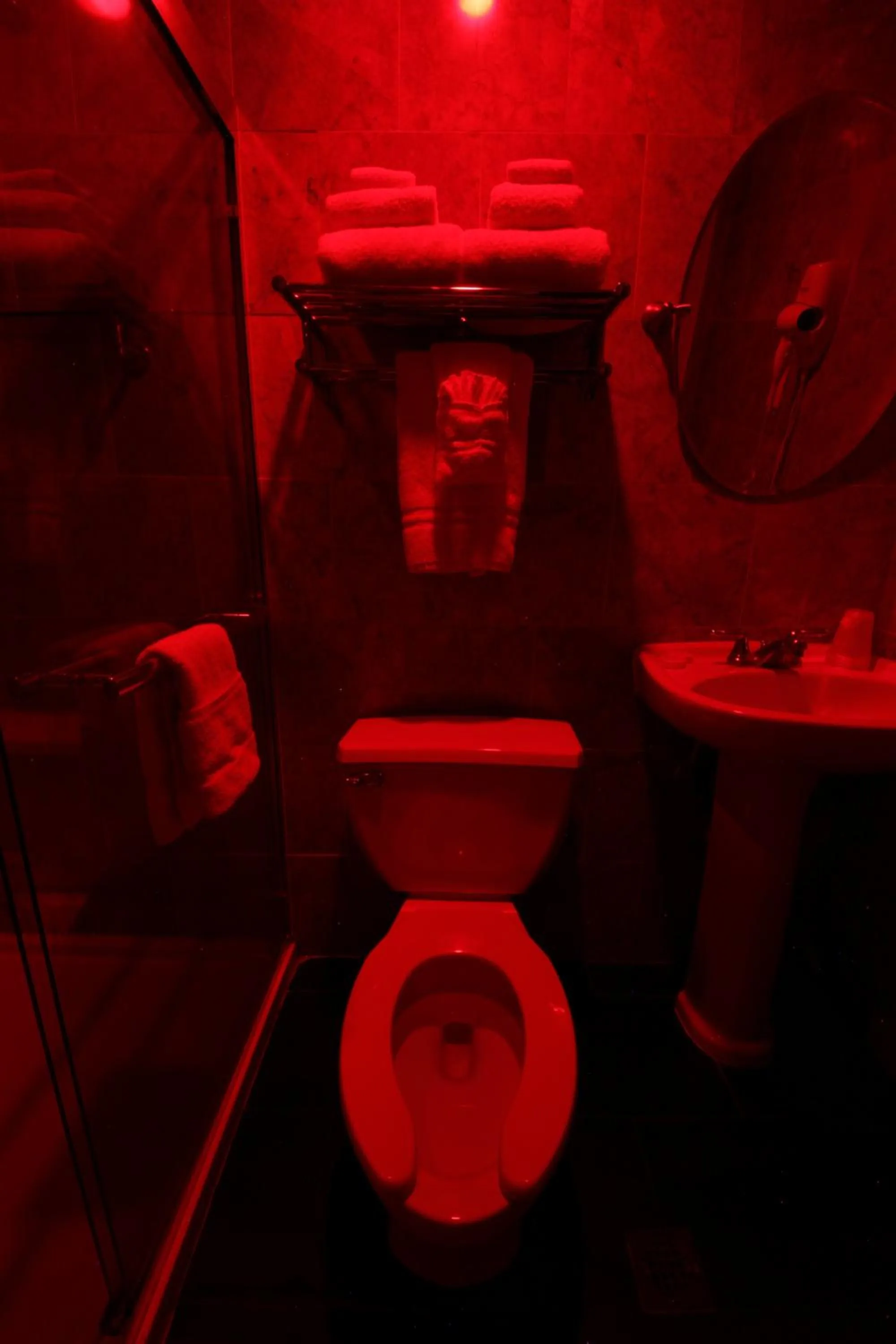 Toilet in Hyde Park Hotel