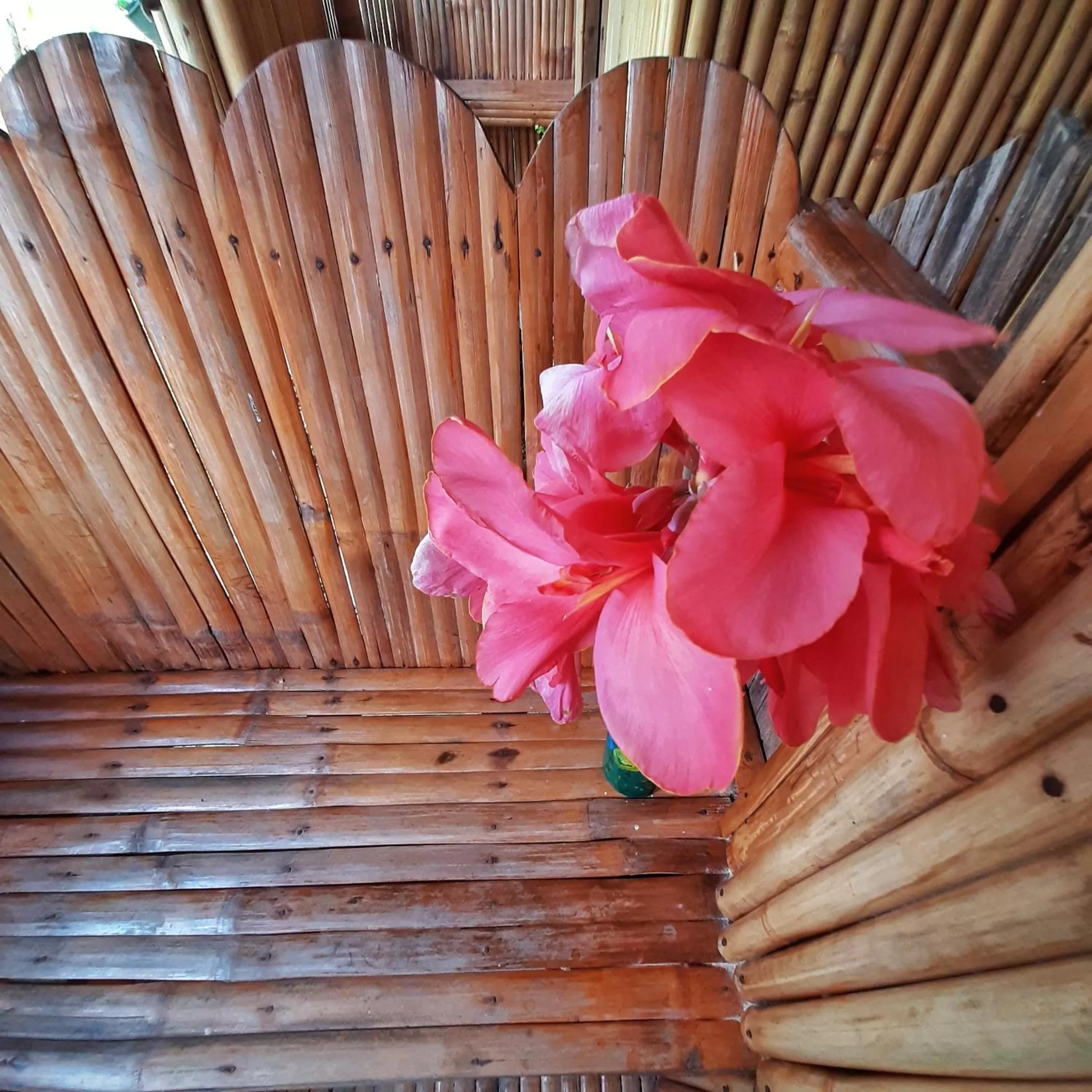 Decorative detail in Banana Grove El Nido