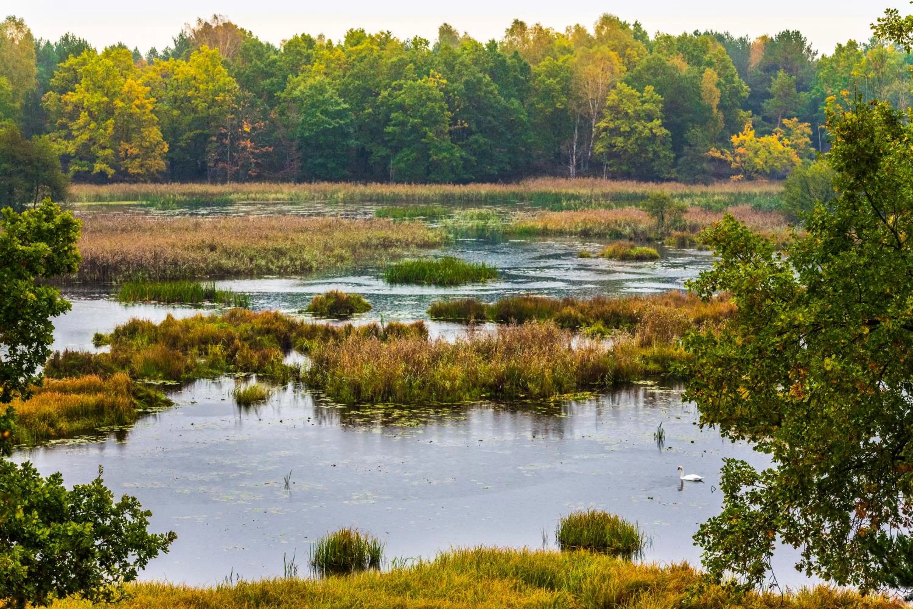 Hotel garni "Zum Eichwerder"