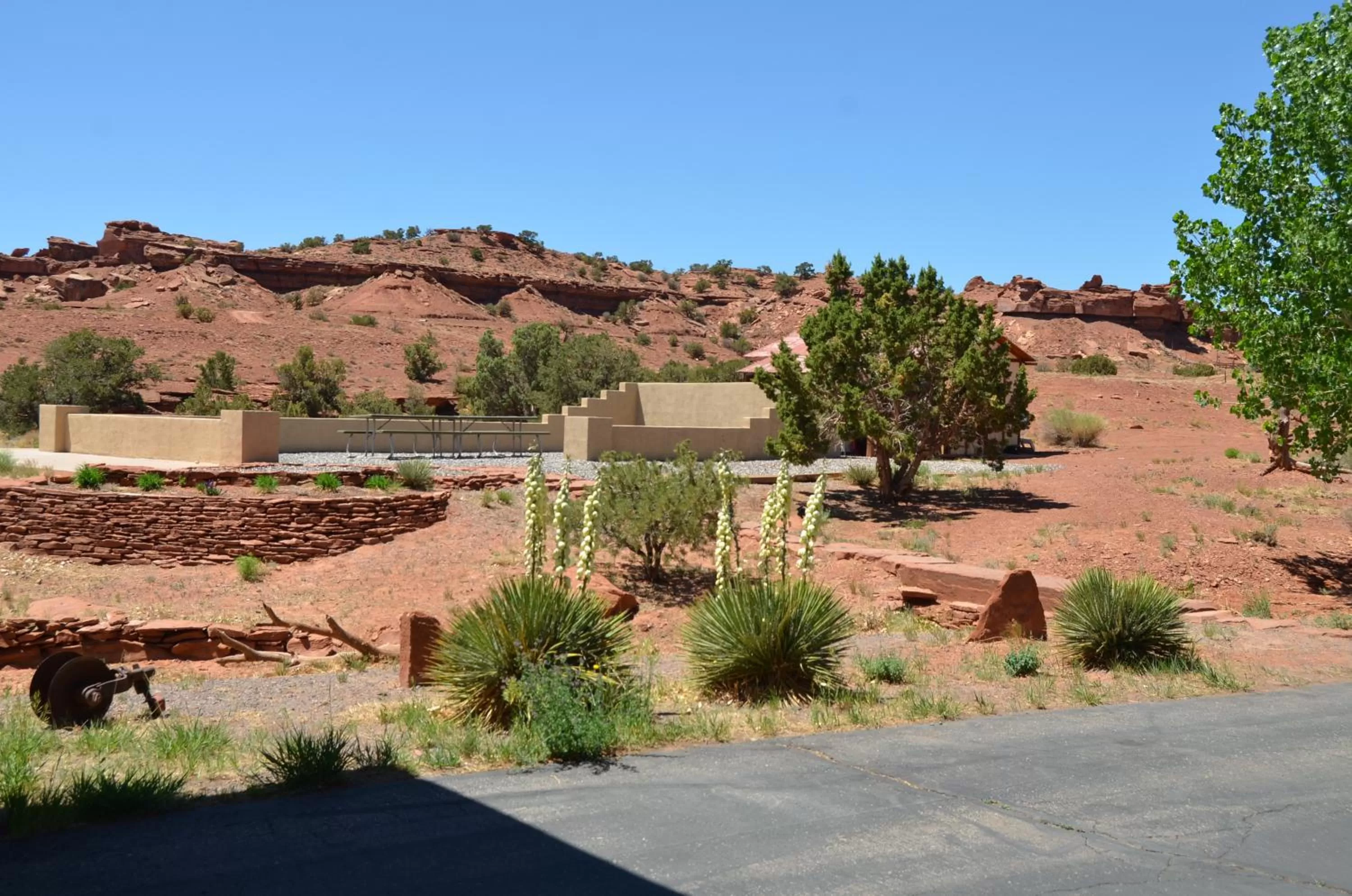 Garden in The Noor Hotel