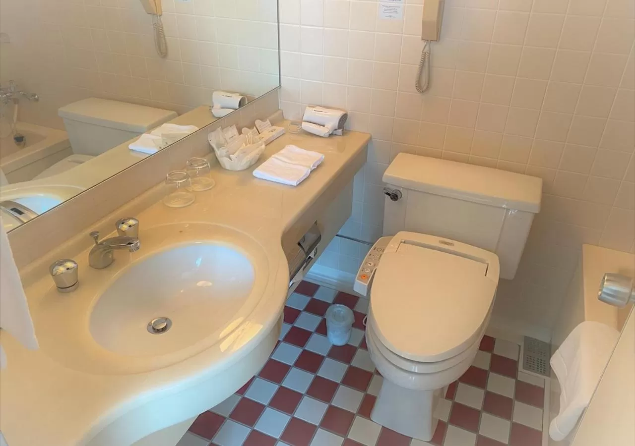 Bathroom in Hotel Nikko Tsukuba