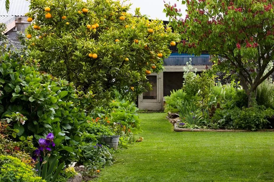 Garden in Magnolia House