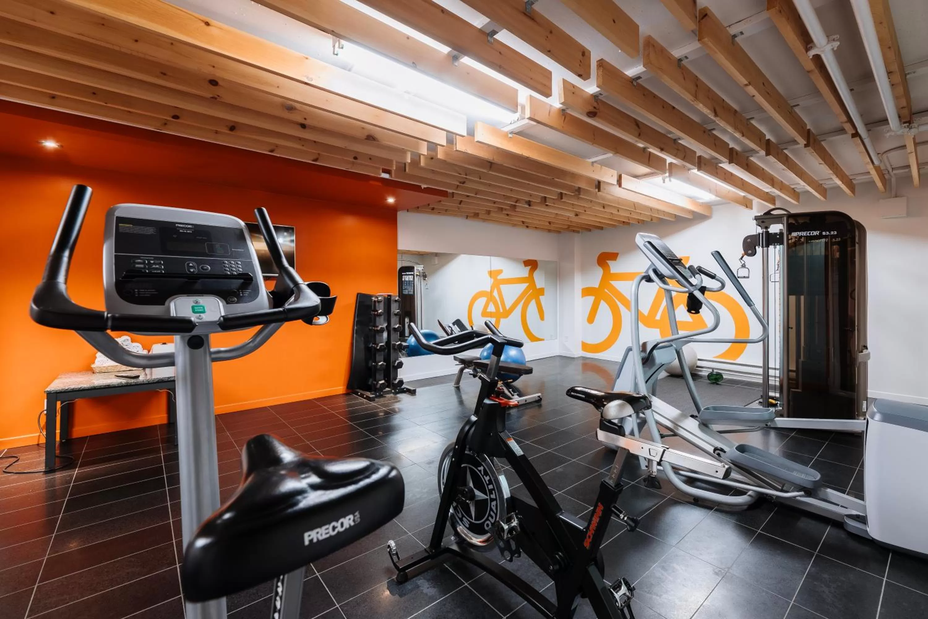 Sports in Le Dauphin Montréal-Longueuil