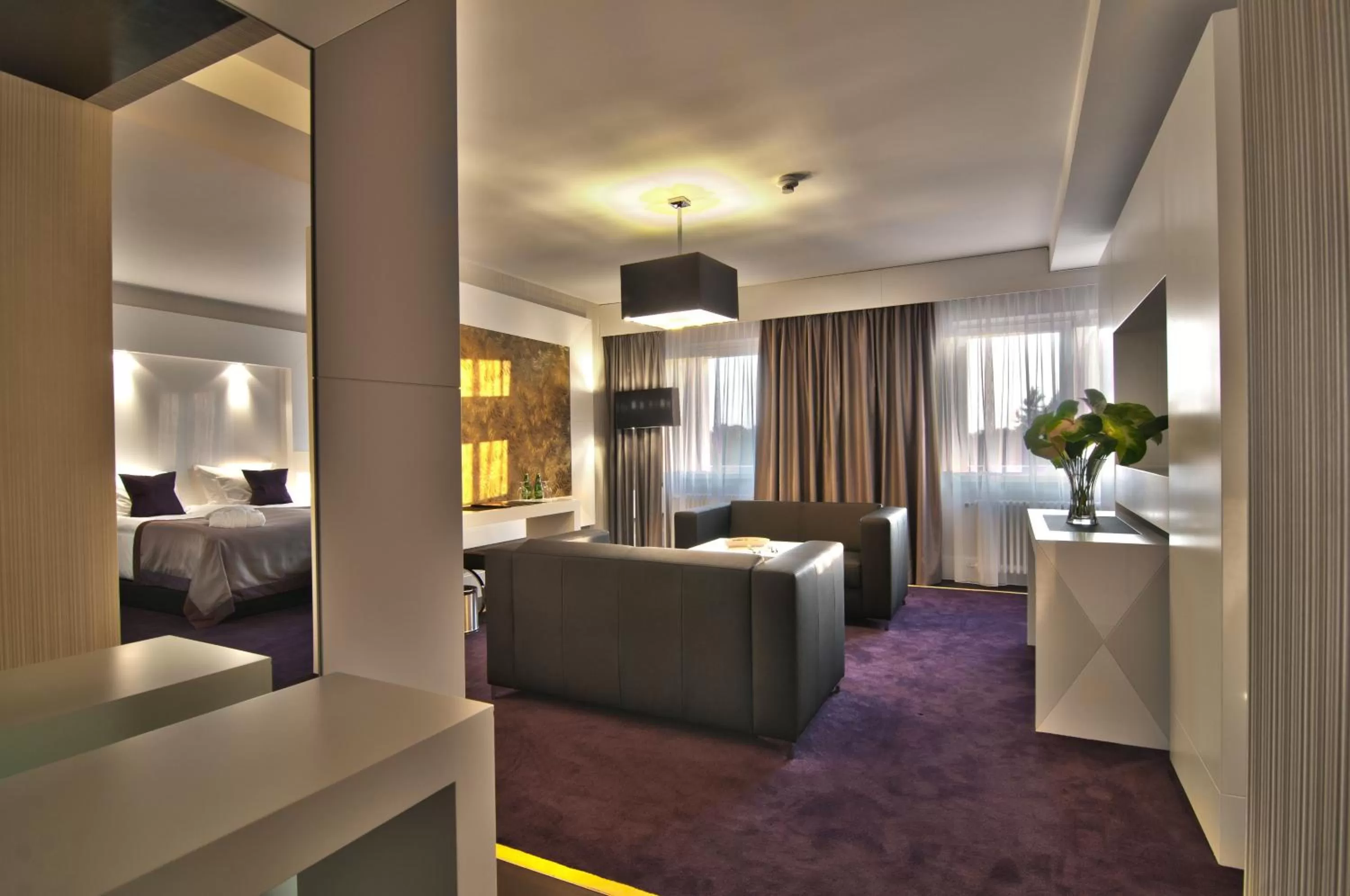 King Suite - single occupancy in Platinum Palace Boutique Hotel & SPA
