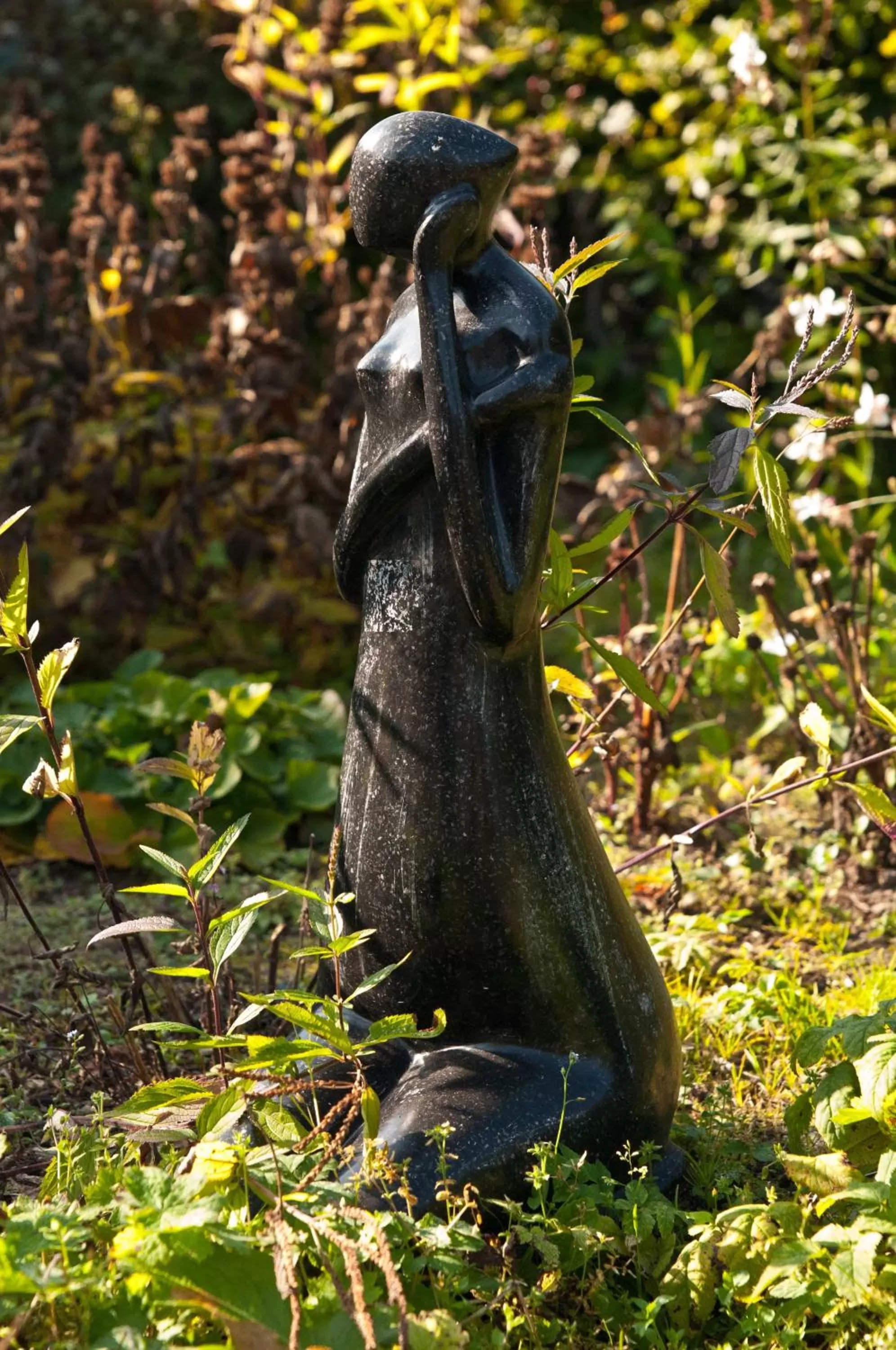 Garden in De Violier