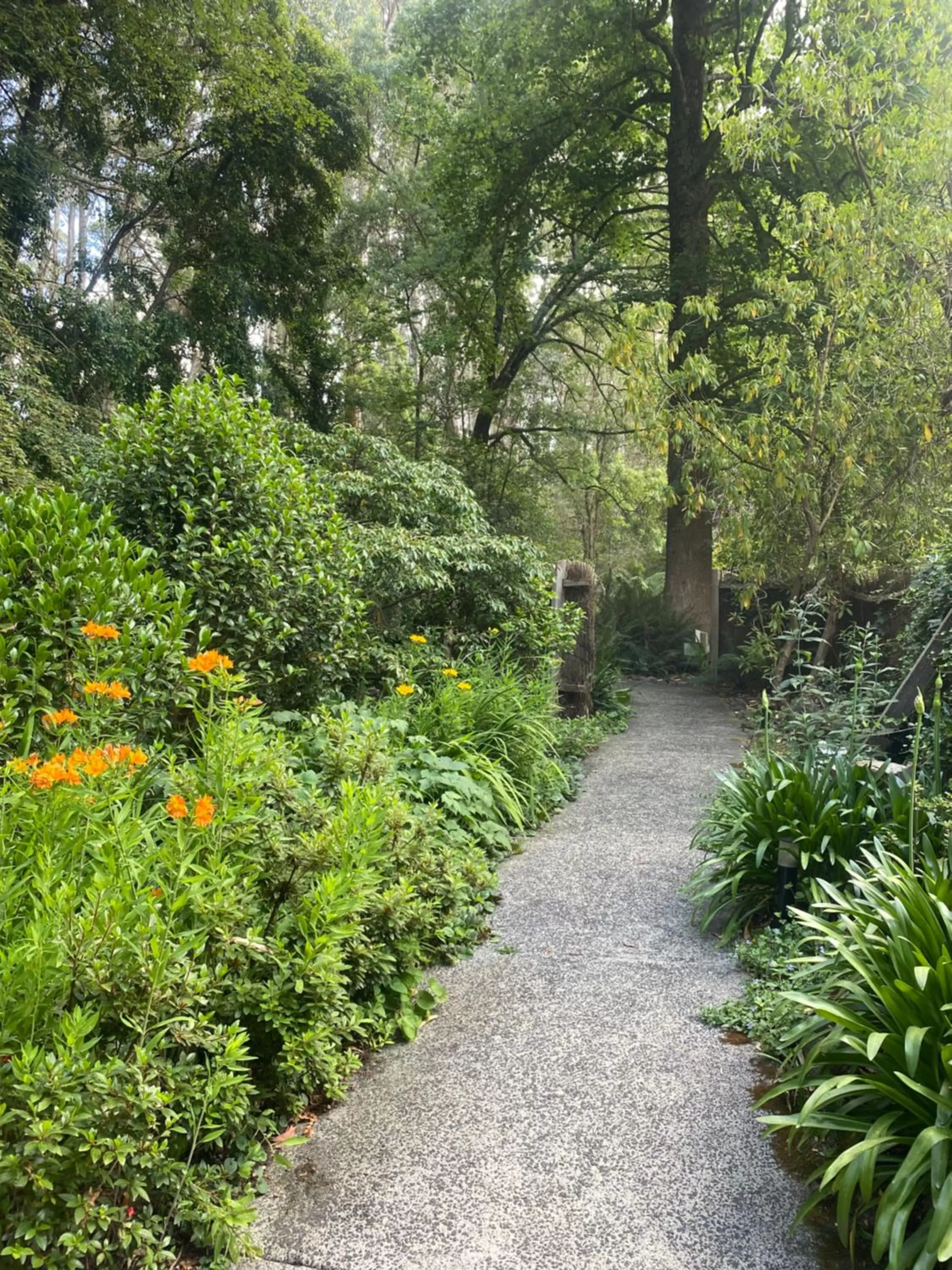 Garden in Cambridge Cottages